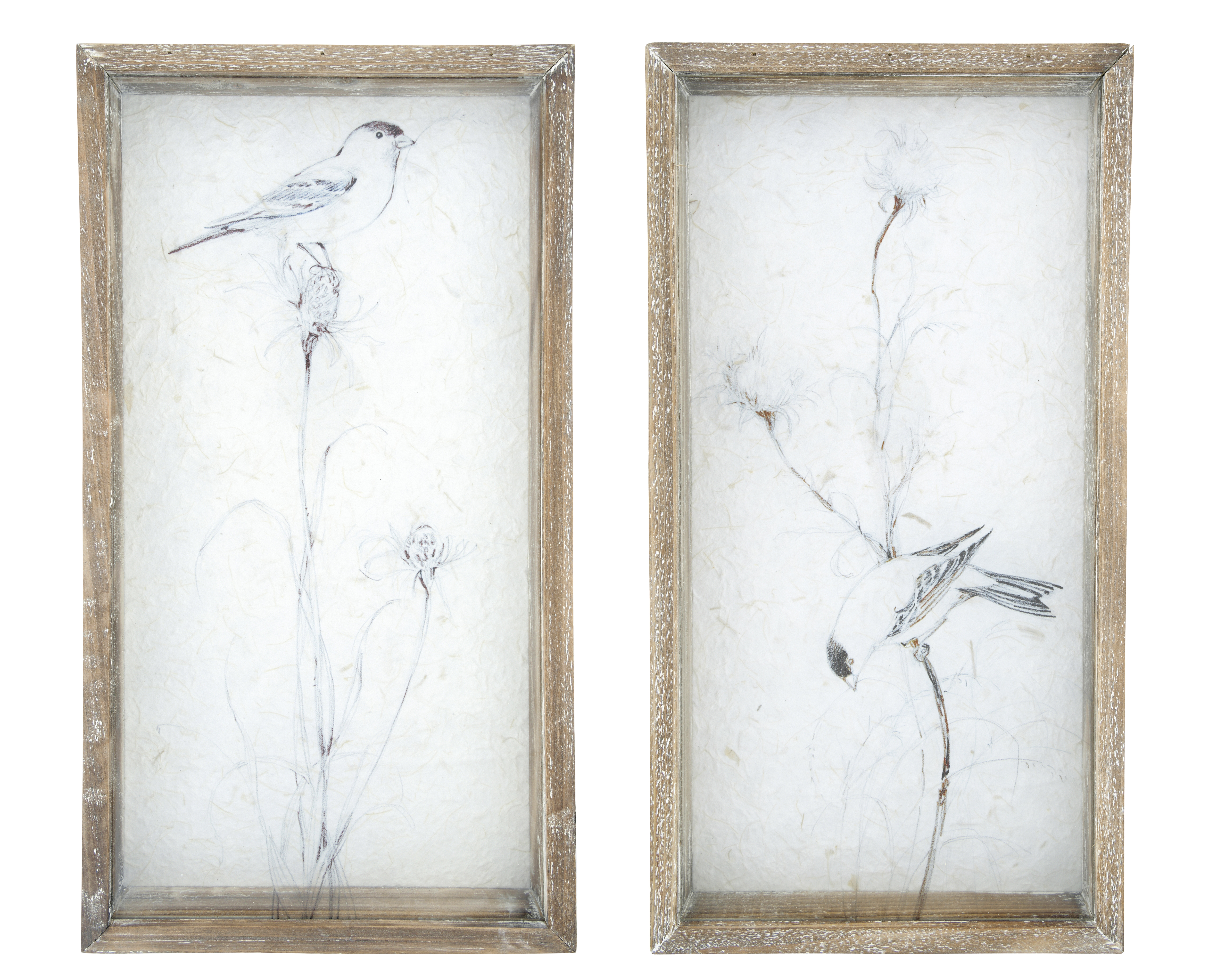 Bird on Glass Wall Décor with Shadowbox Wood Frame (Set of 2 Styles) - Nomad Home