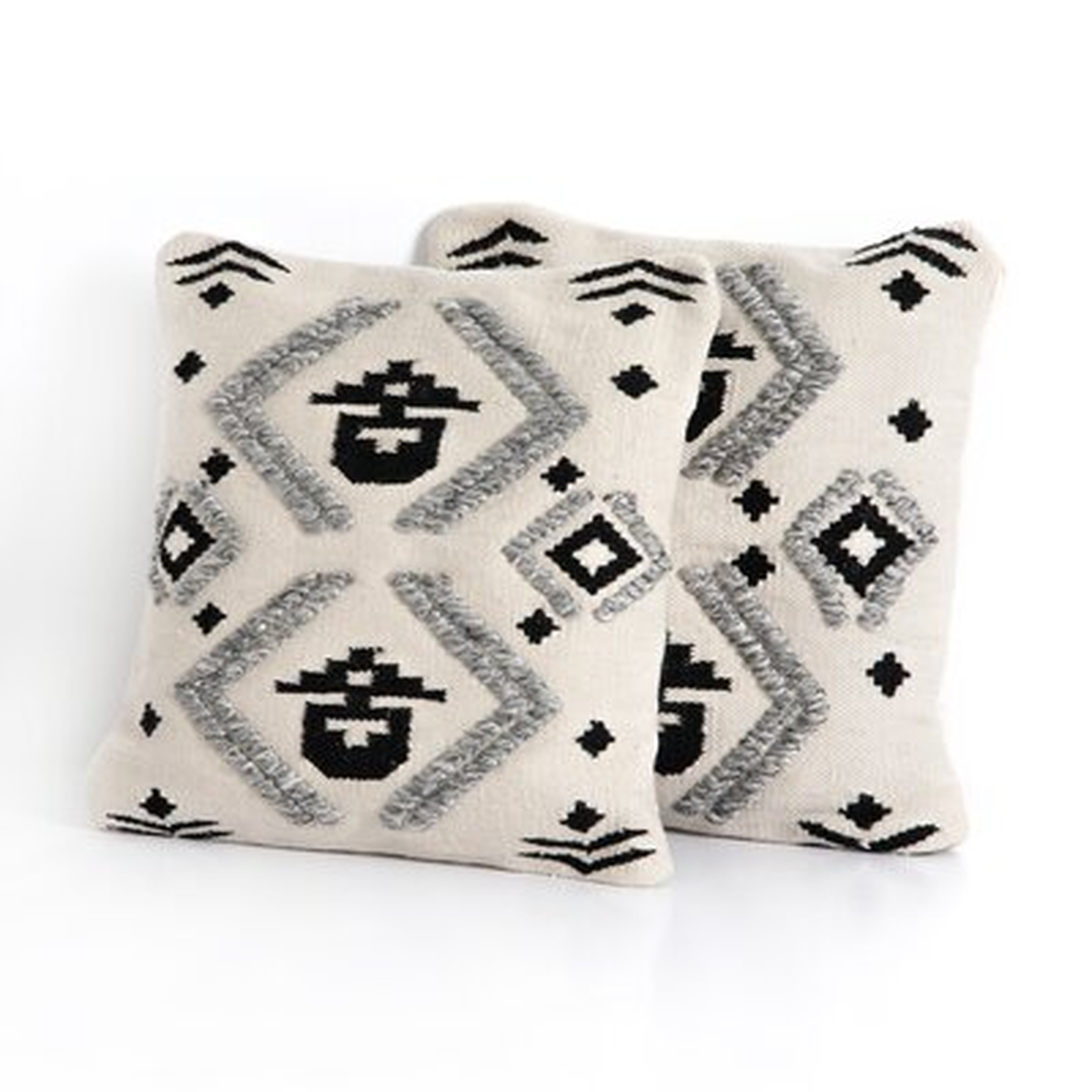 Hubble Maria Outdoor Square Pillow Cover & Insert - AllModern