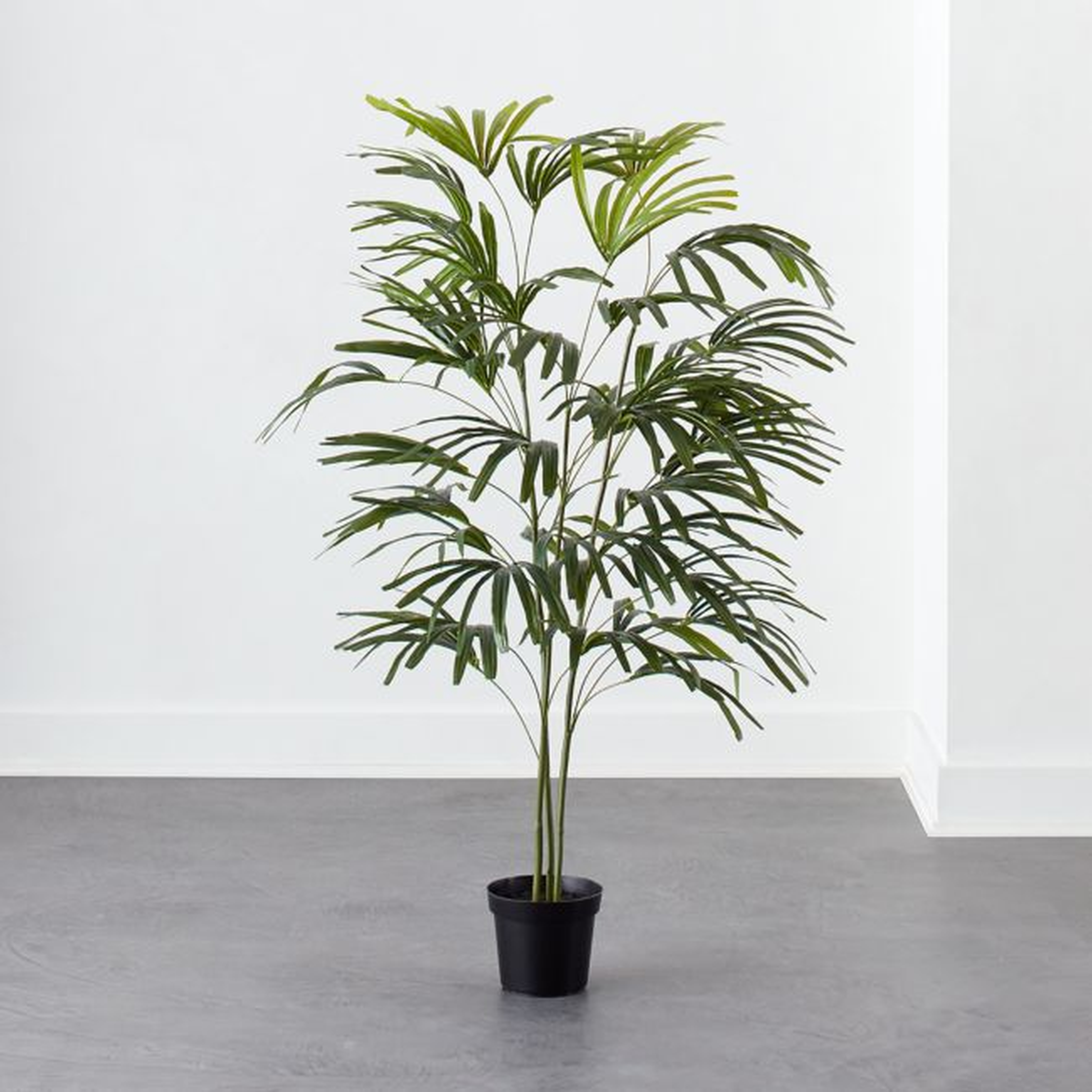 Potted Spade Tree 5' - CB2