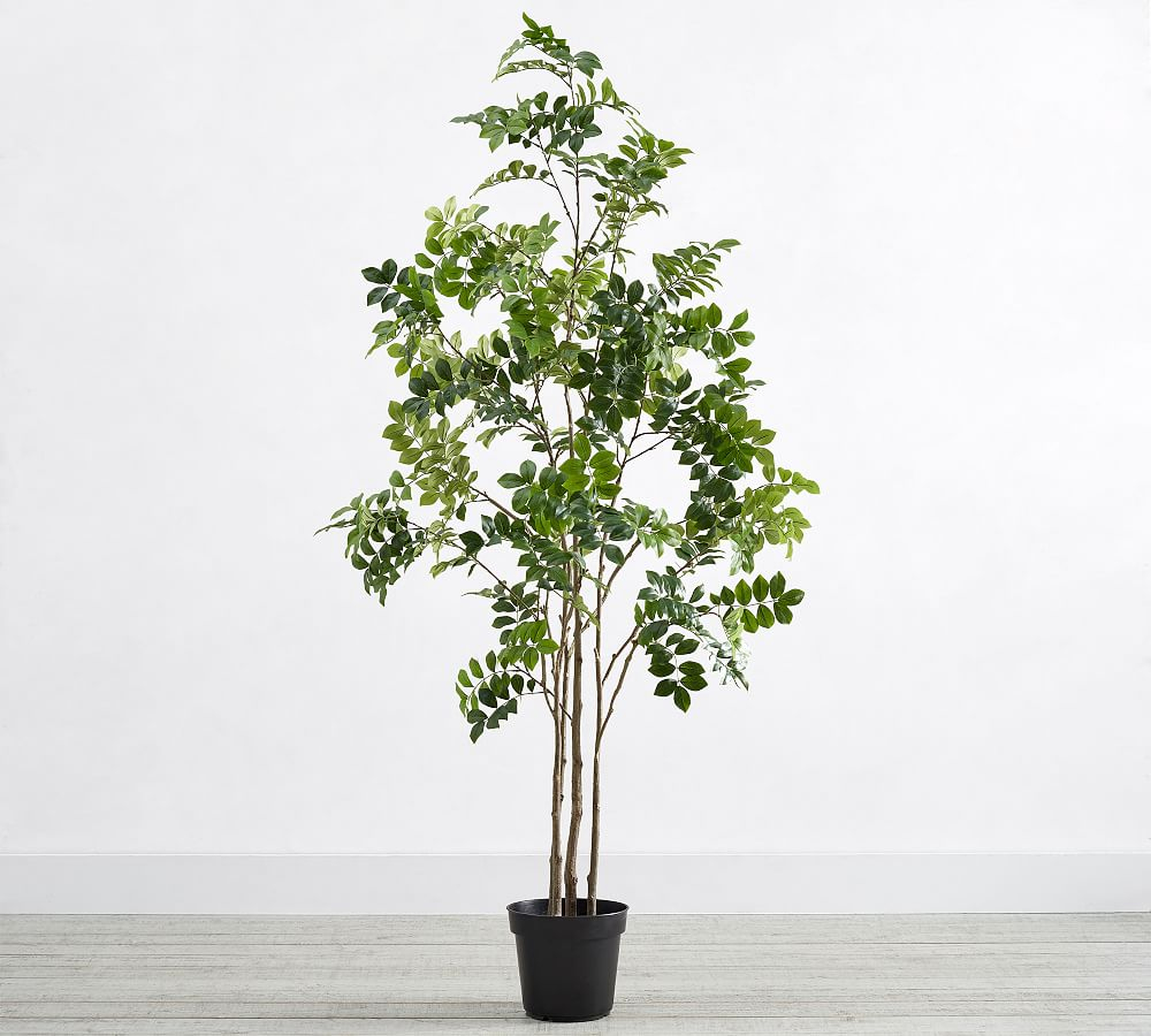 Faux Potted Green Leaf Tree, 6' - Pottery Barn