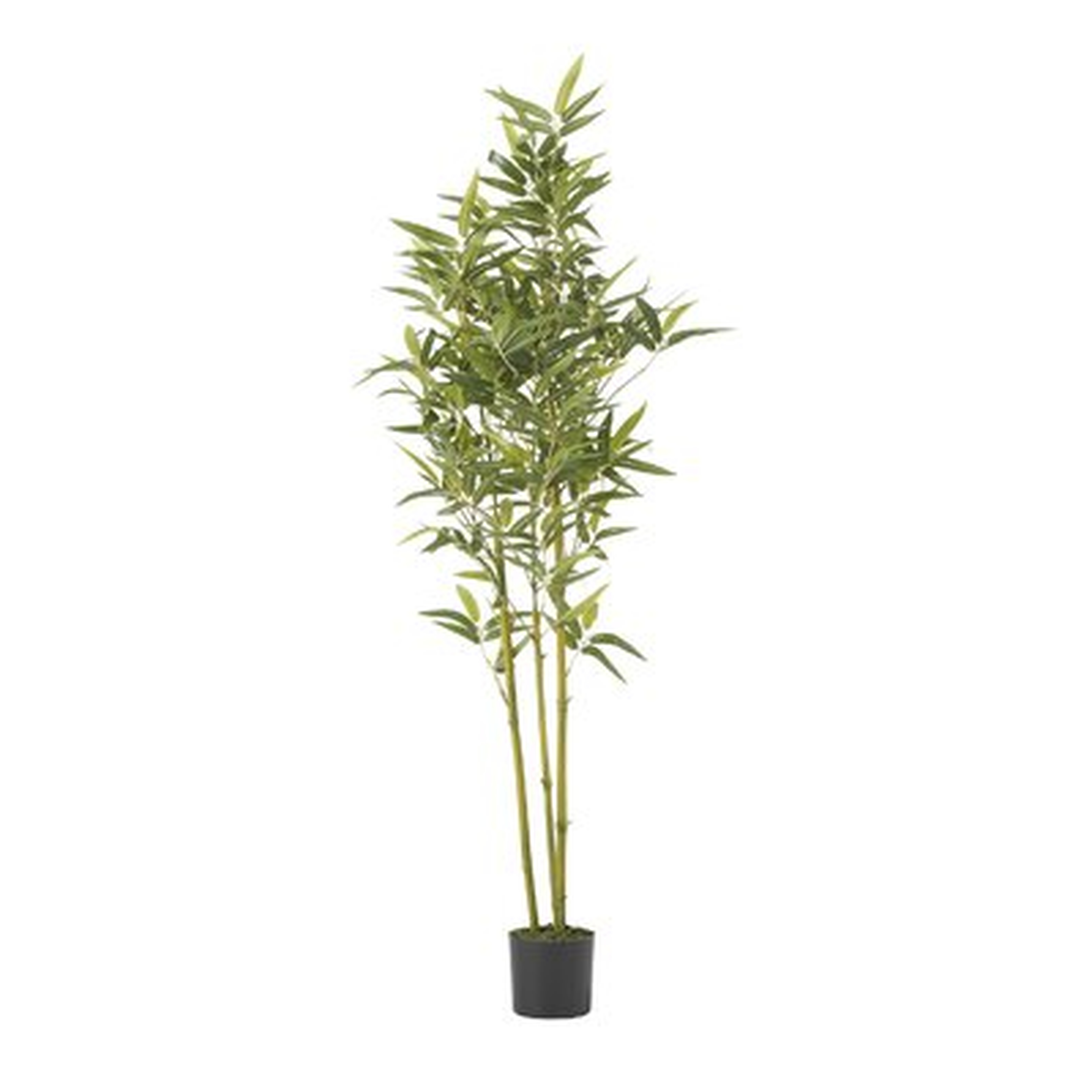 Artificial Bamboo Tree in Planter - Wayfair