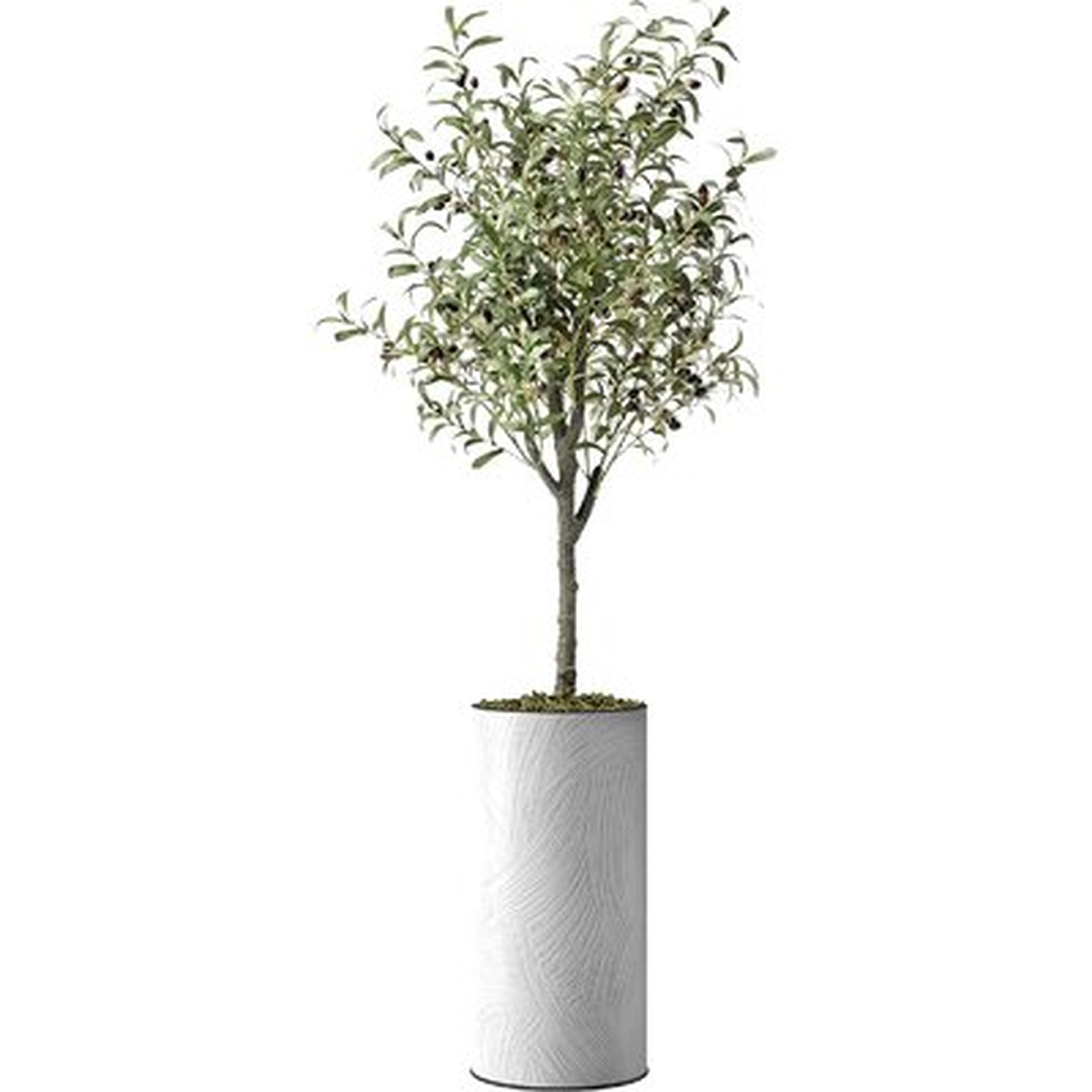 Artificial Tree In Contemporary Pattern Planter, Fake Olive Silk Tree For Indoor And Outdoor Home Decoration - Wayfair