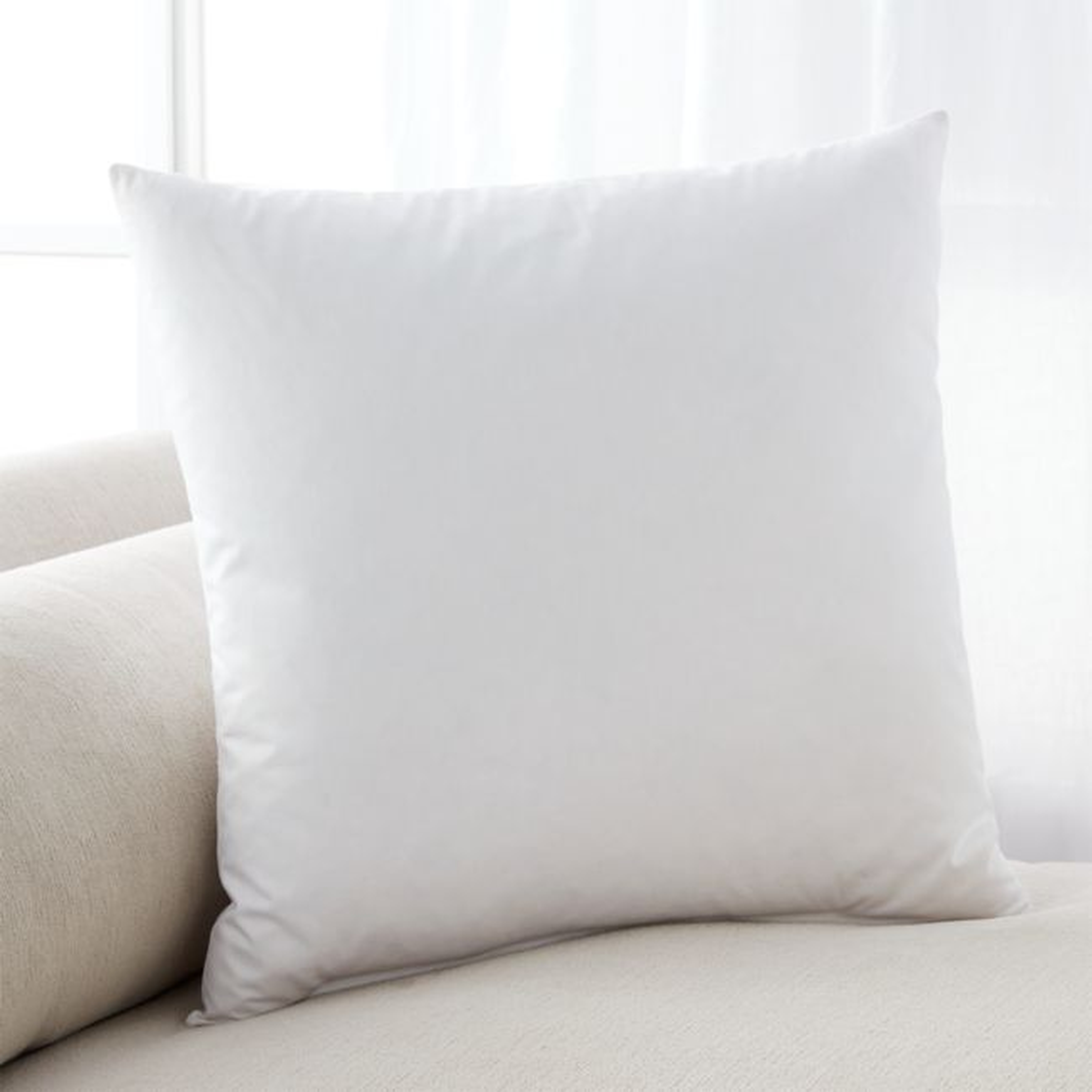 Feather 20" Pillow Insert - Crate and Barrel