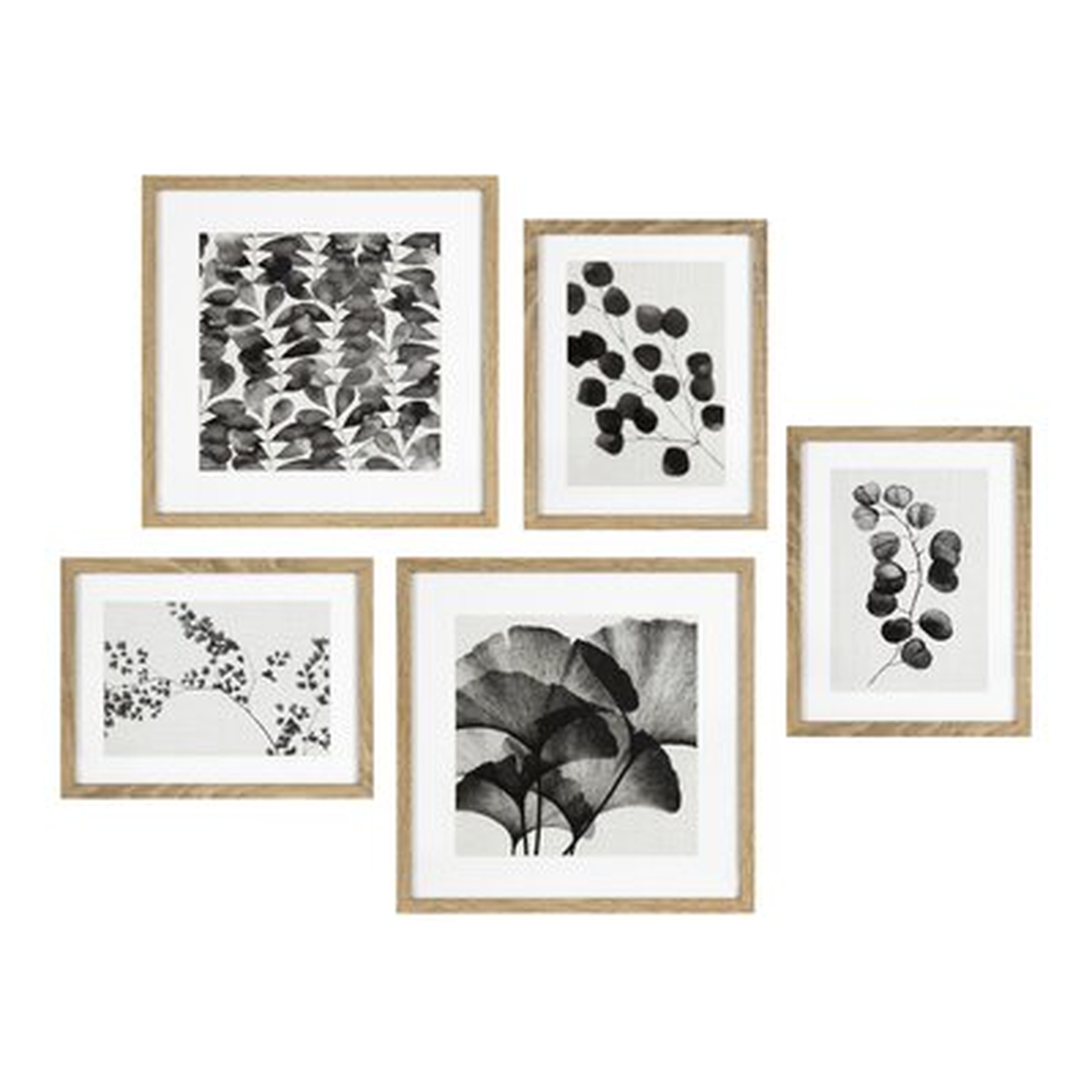 Black & White Floral by Home Designs-Floater Frame Painting on Canvas, Set of 5 - Wayfair