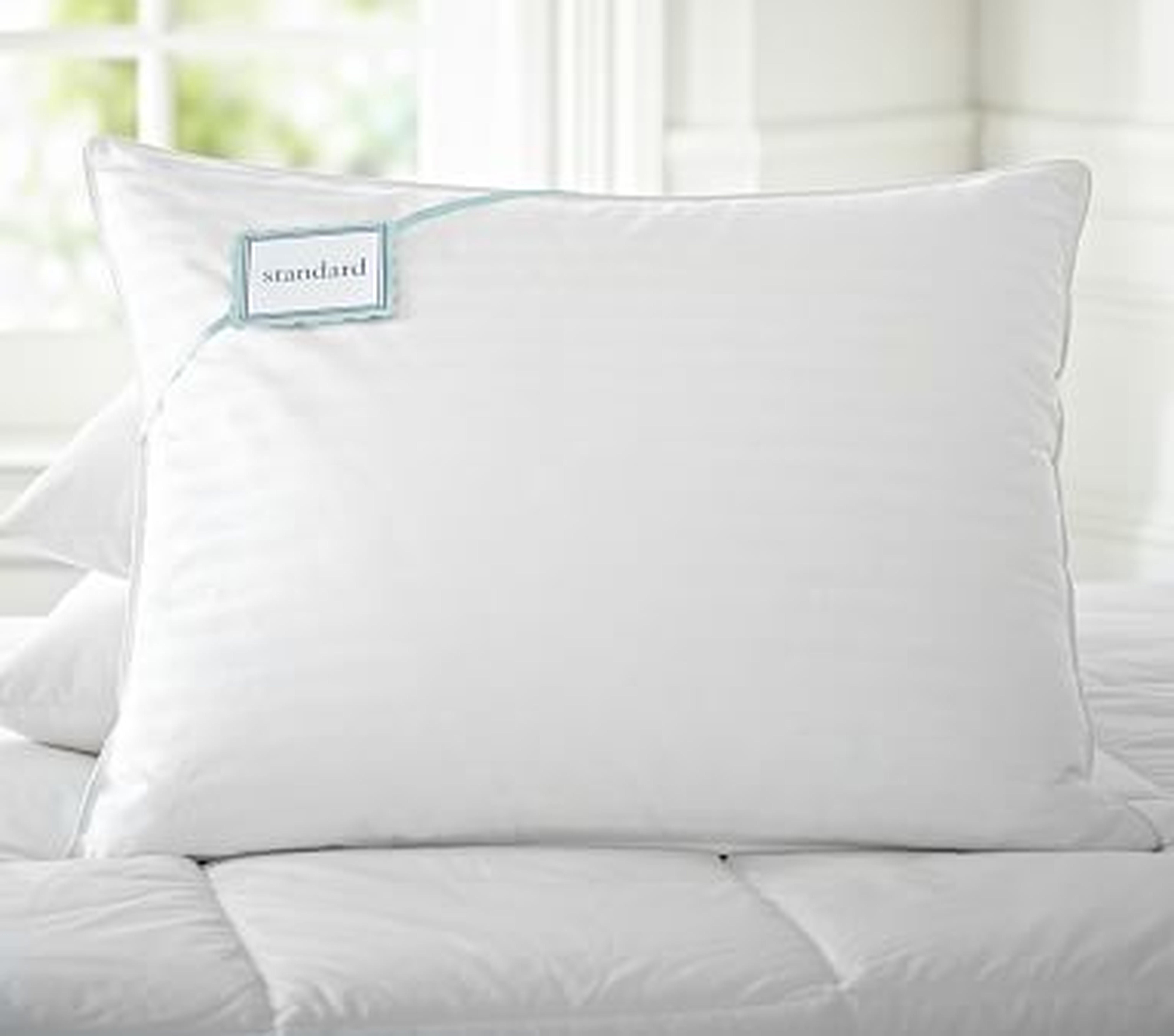 PBK Premium Down Pillow Insert, Standard, 20 x 26" - Pottery Barn Kids