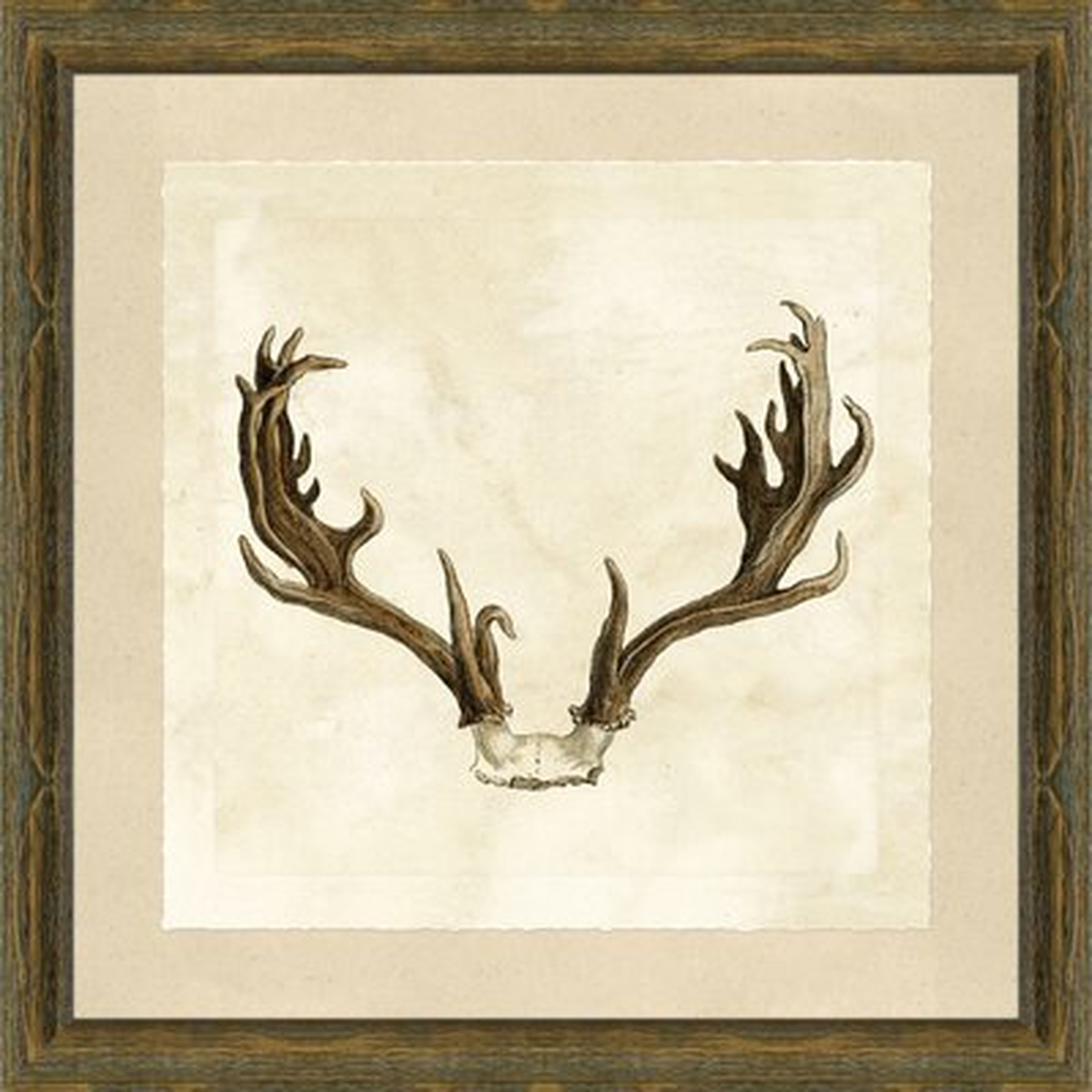 'Antler' - Picture Frame Graphic Art Print on Paper - Wayfair