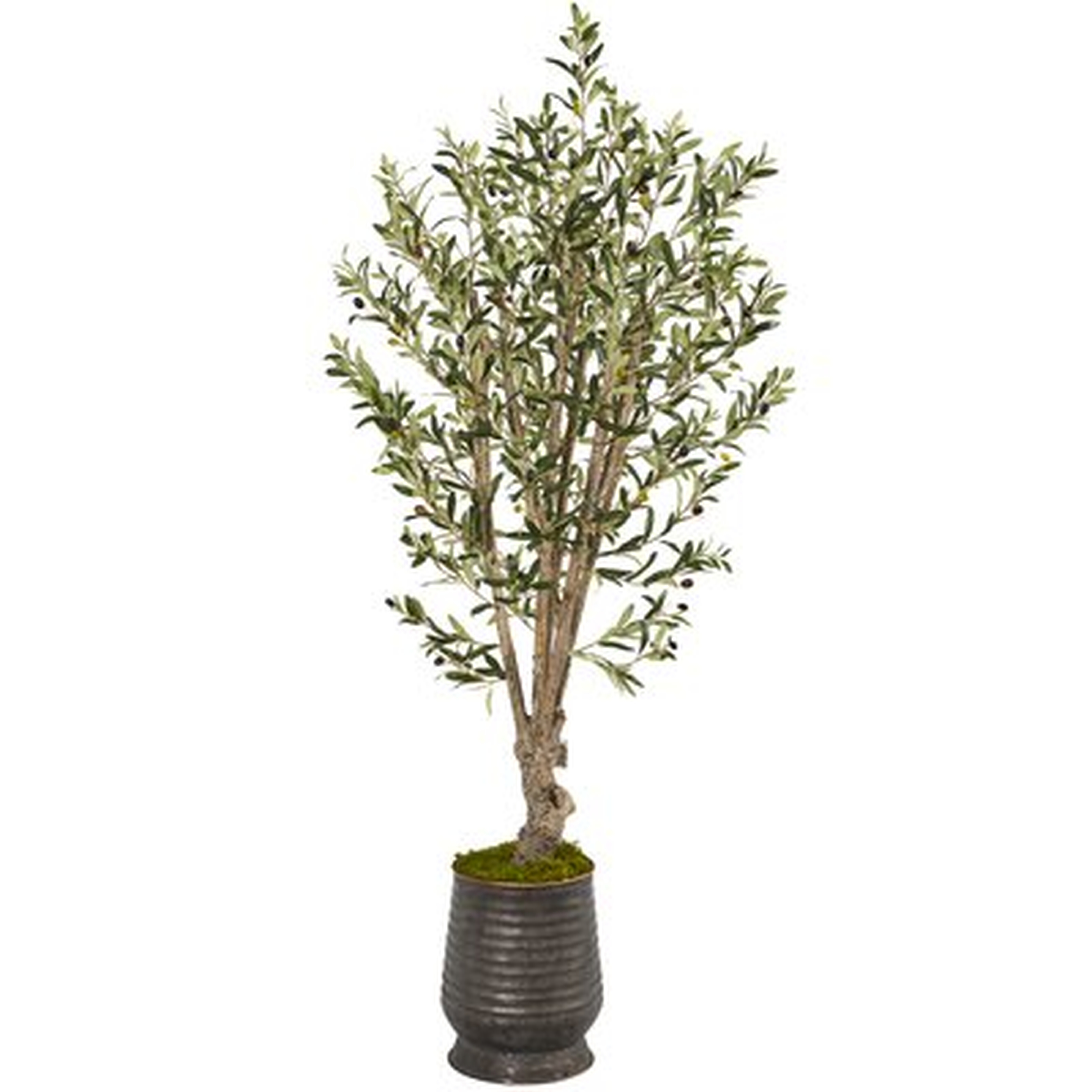 62'' Artificial Olive Tree in Planter - Wayfair