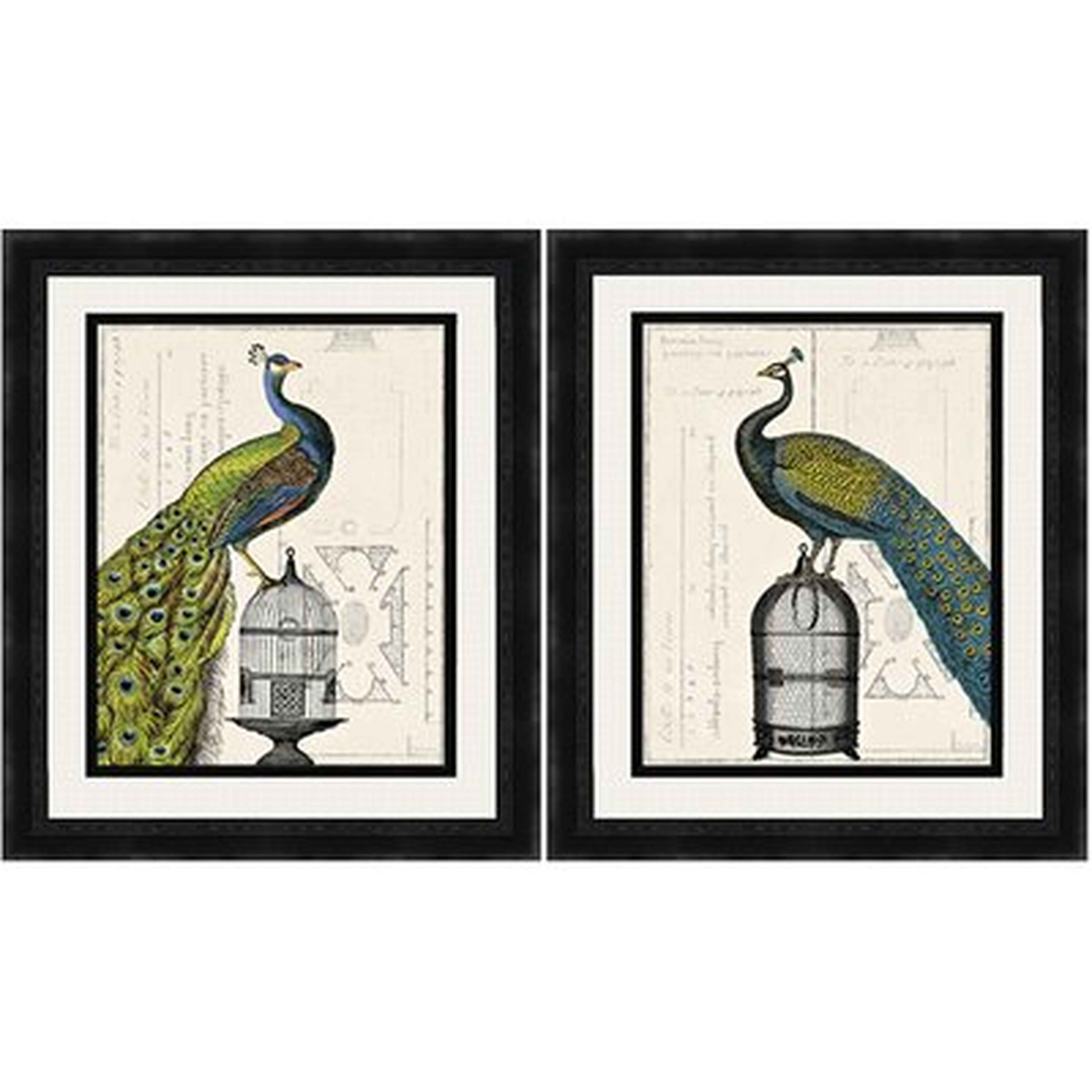 Regal Peacock Picture Frame Print Set - Wayfair