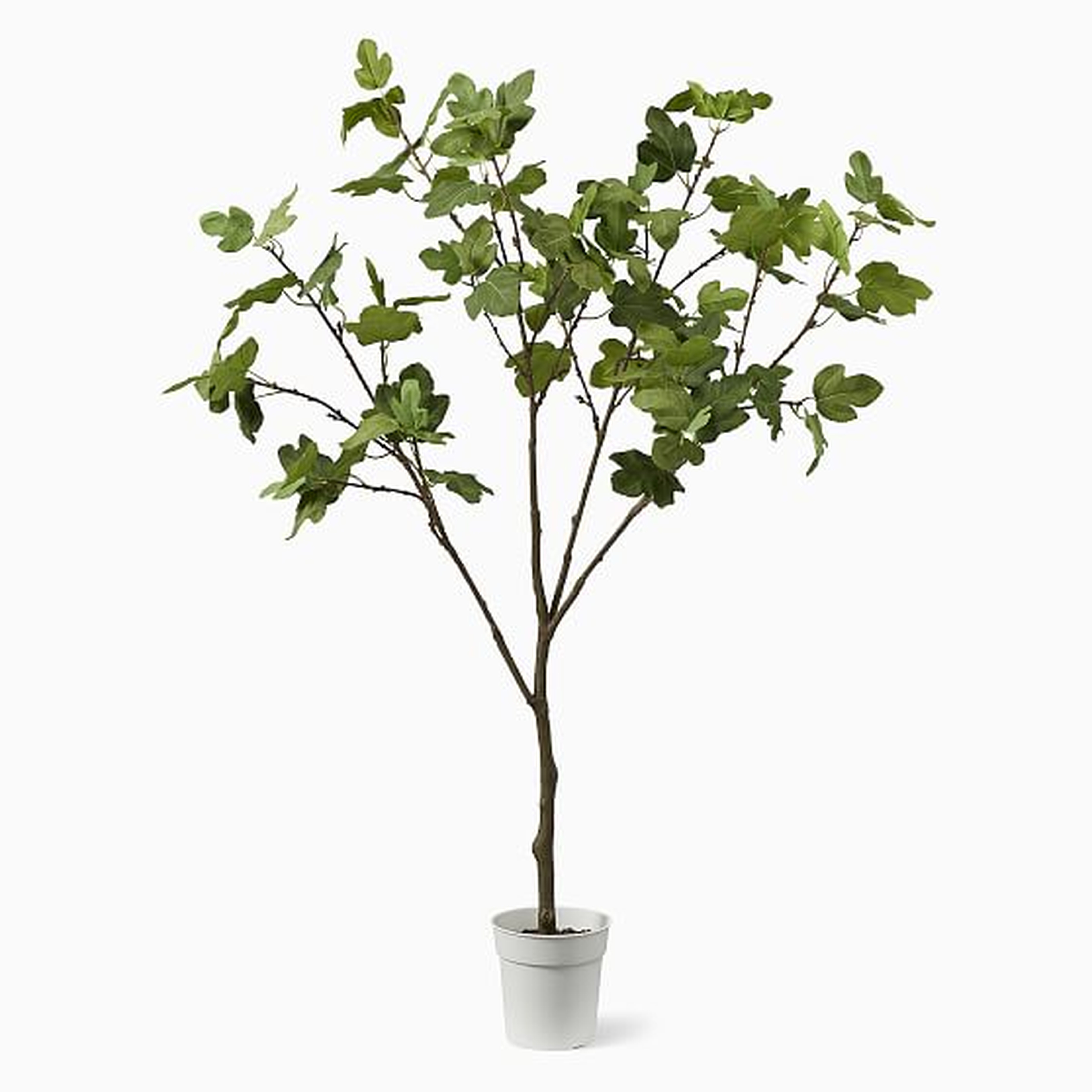 Faux Potted Fig Tree, 60'' - West Elm