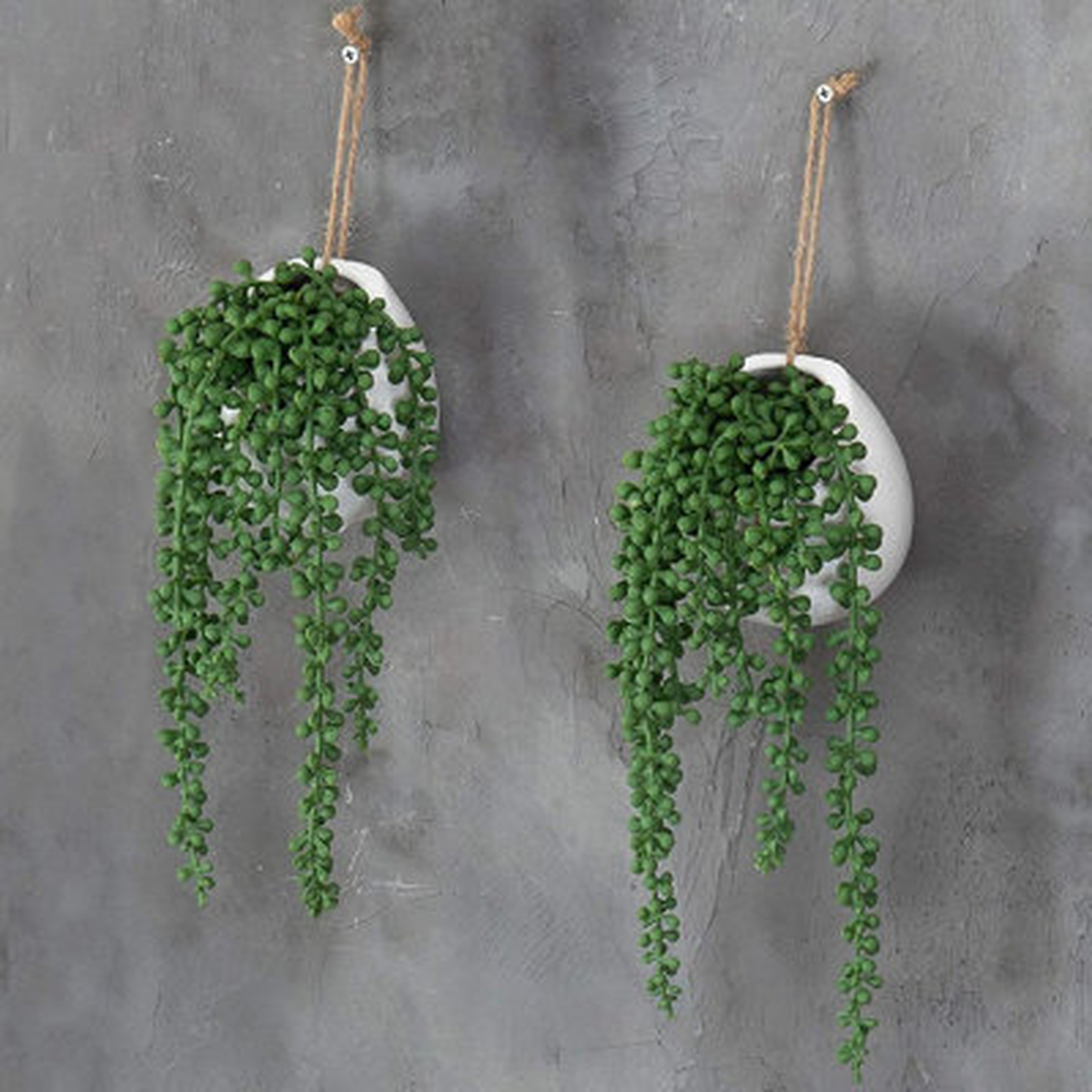 Artificial String Of Pearls Plants In White Ceramic Wall-Hanging Planters, Set Of 2 - Wayfair
