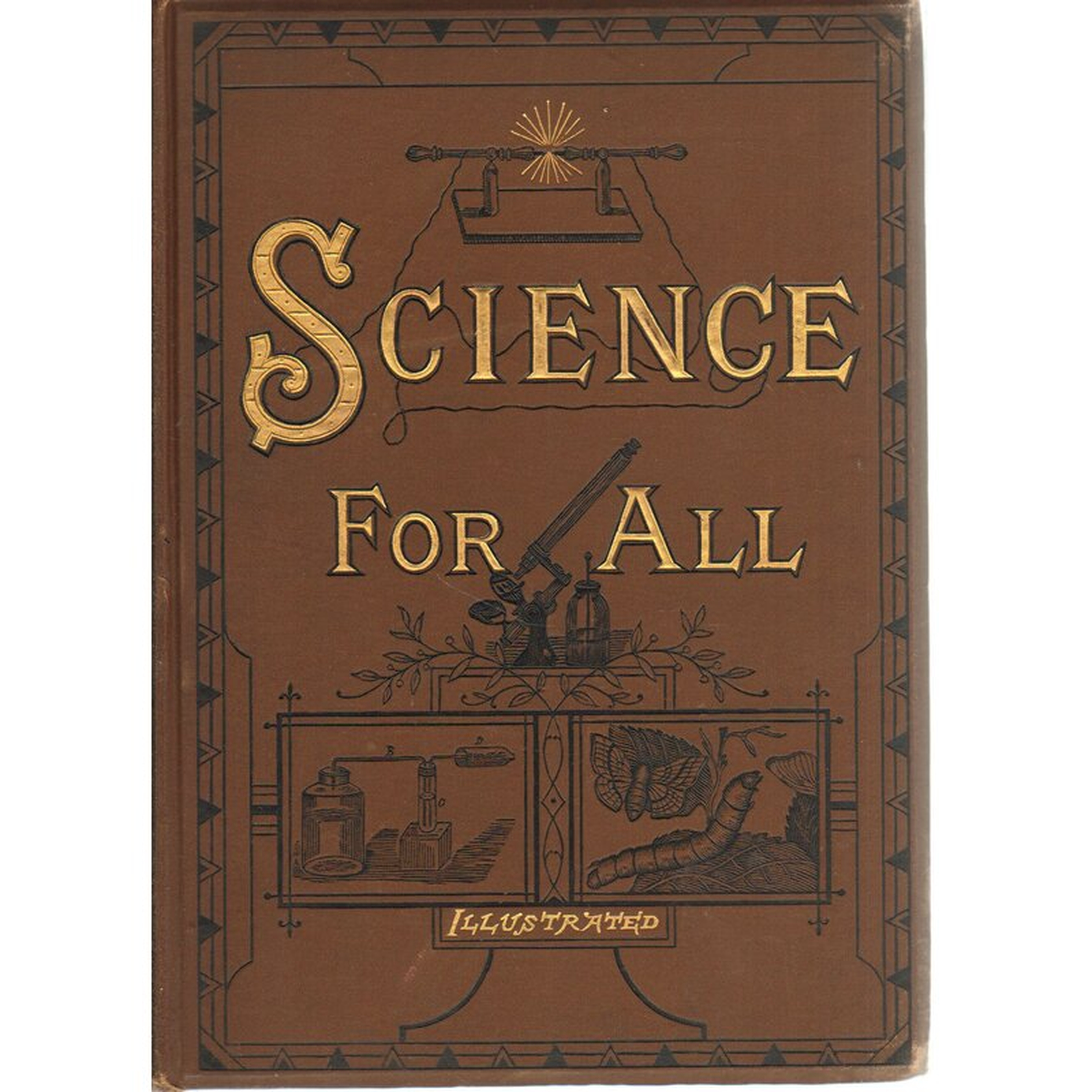 Booth & Williams Science for All Authentic Decorative Book - Perigold