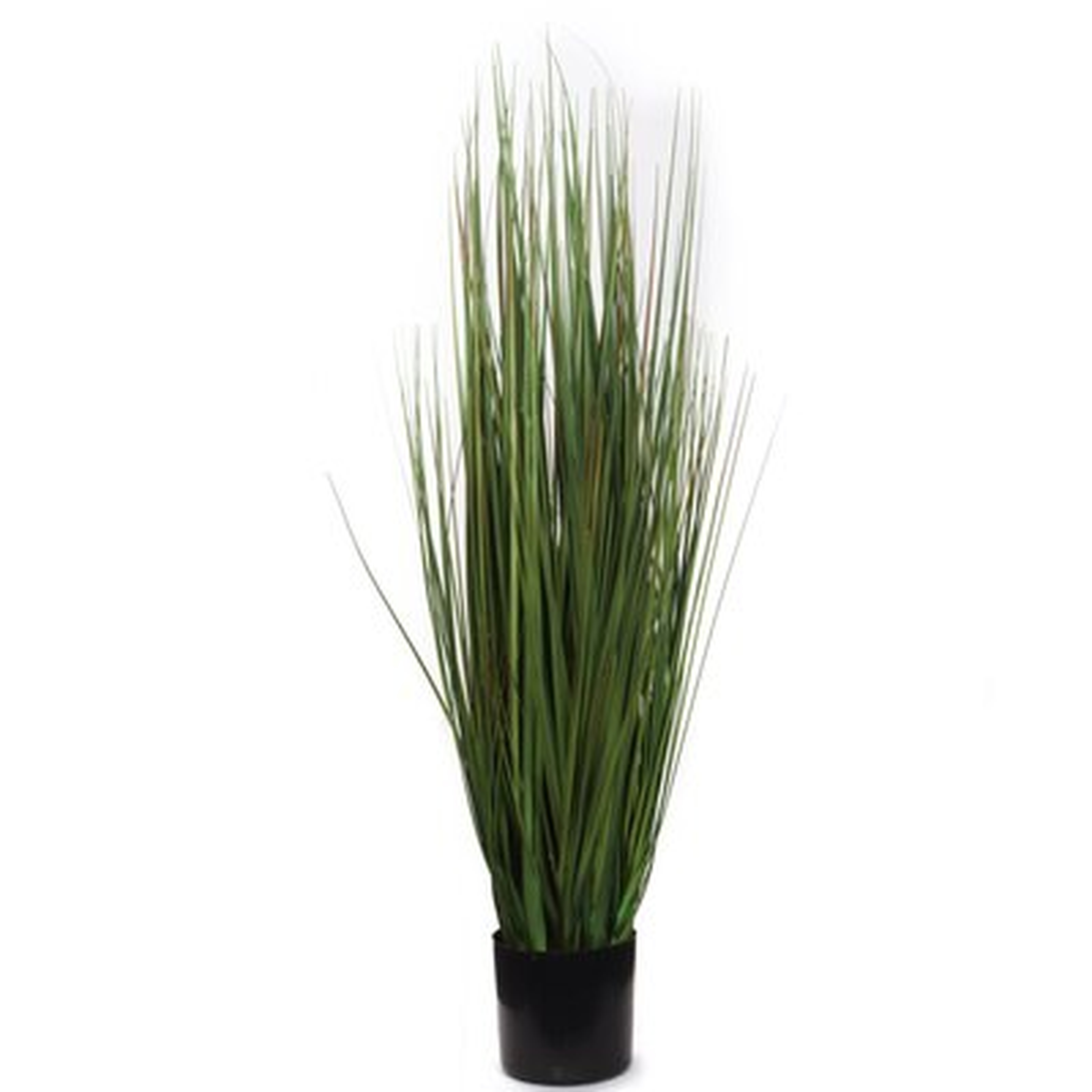 Artificial Grass Bush In Black Pot 24" Silk Fake Grass House Plant Indoor Outdoor Easily Add To More Ornate Container Home Office Party - Wayfair