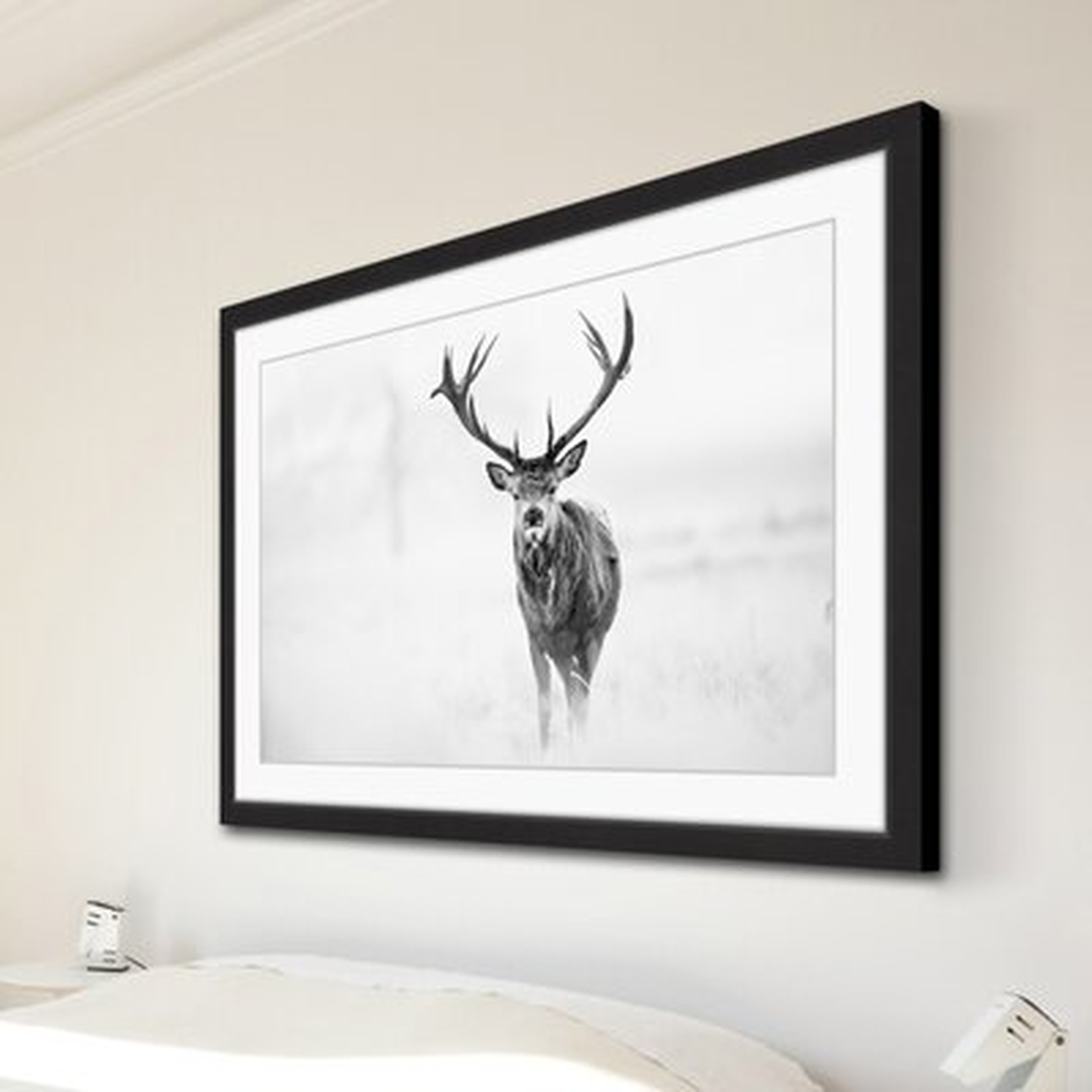 Elk Stare' Framed Photographic Print on Paper - AllModern