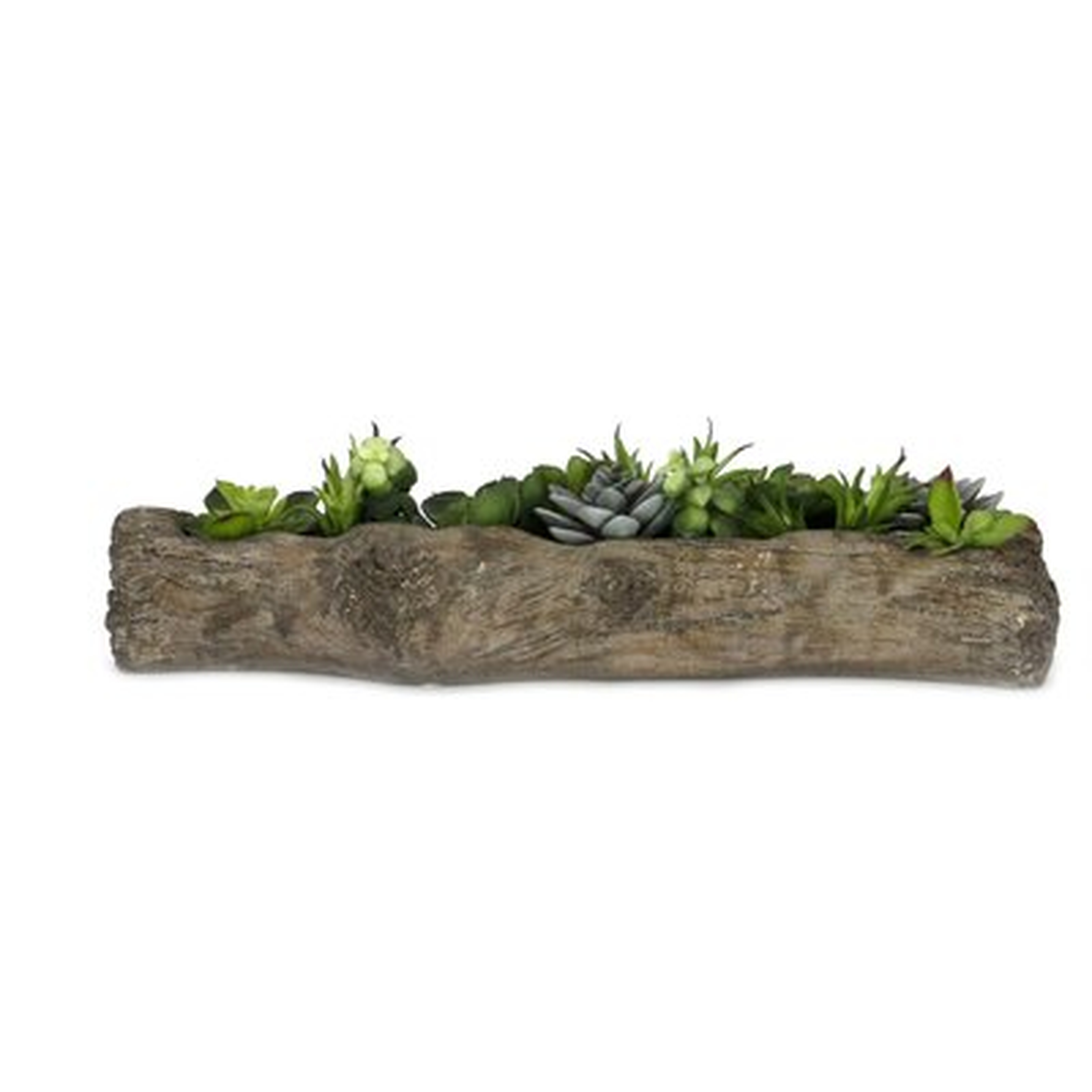 Faux Aloe and Agave Succulent in Planter - Wayfair