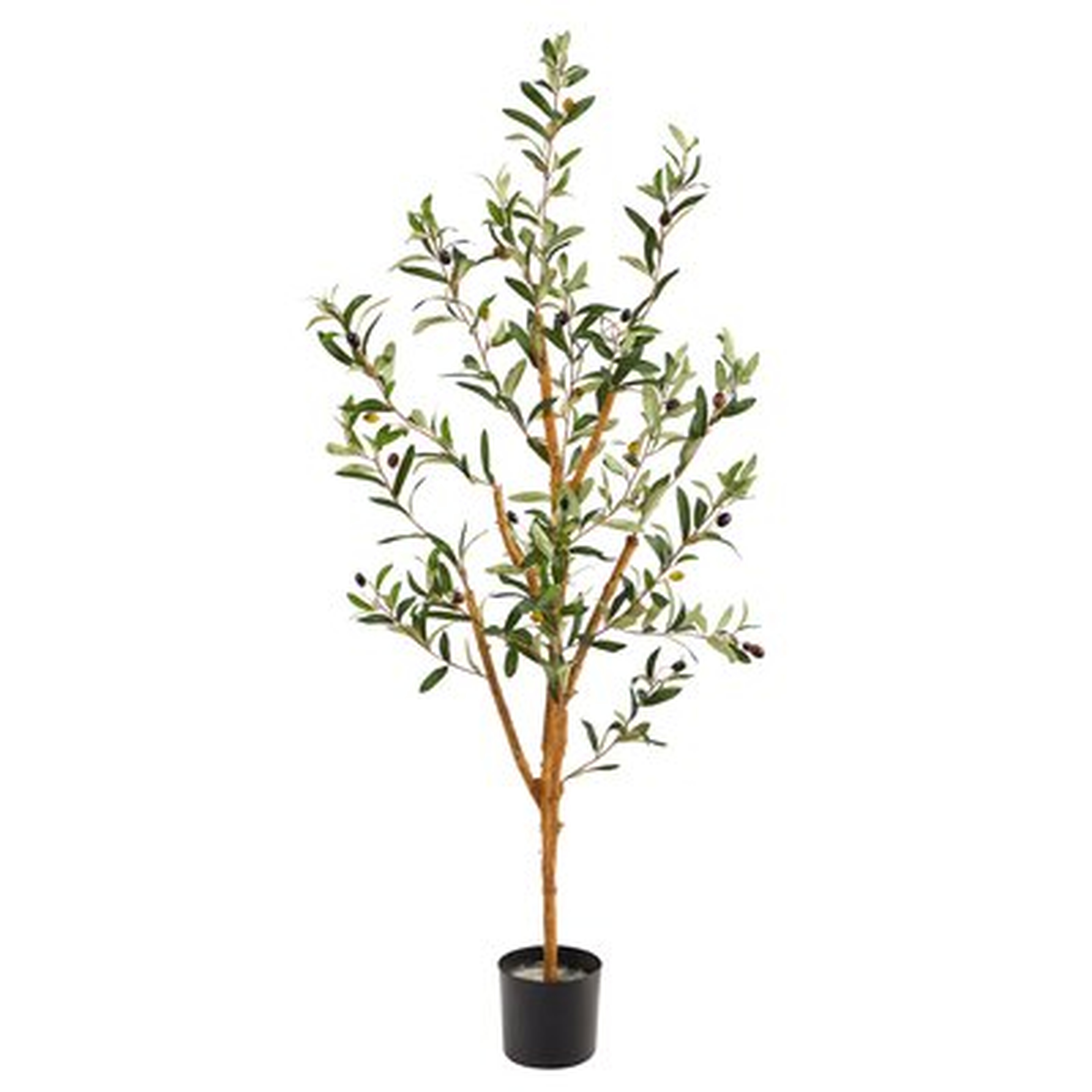 Artificial Olive Tree in Pot - Wayfair