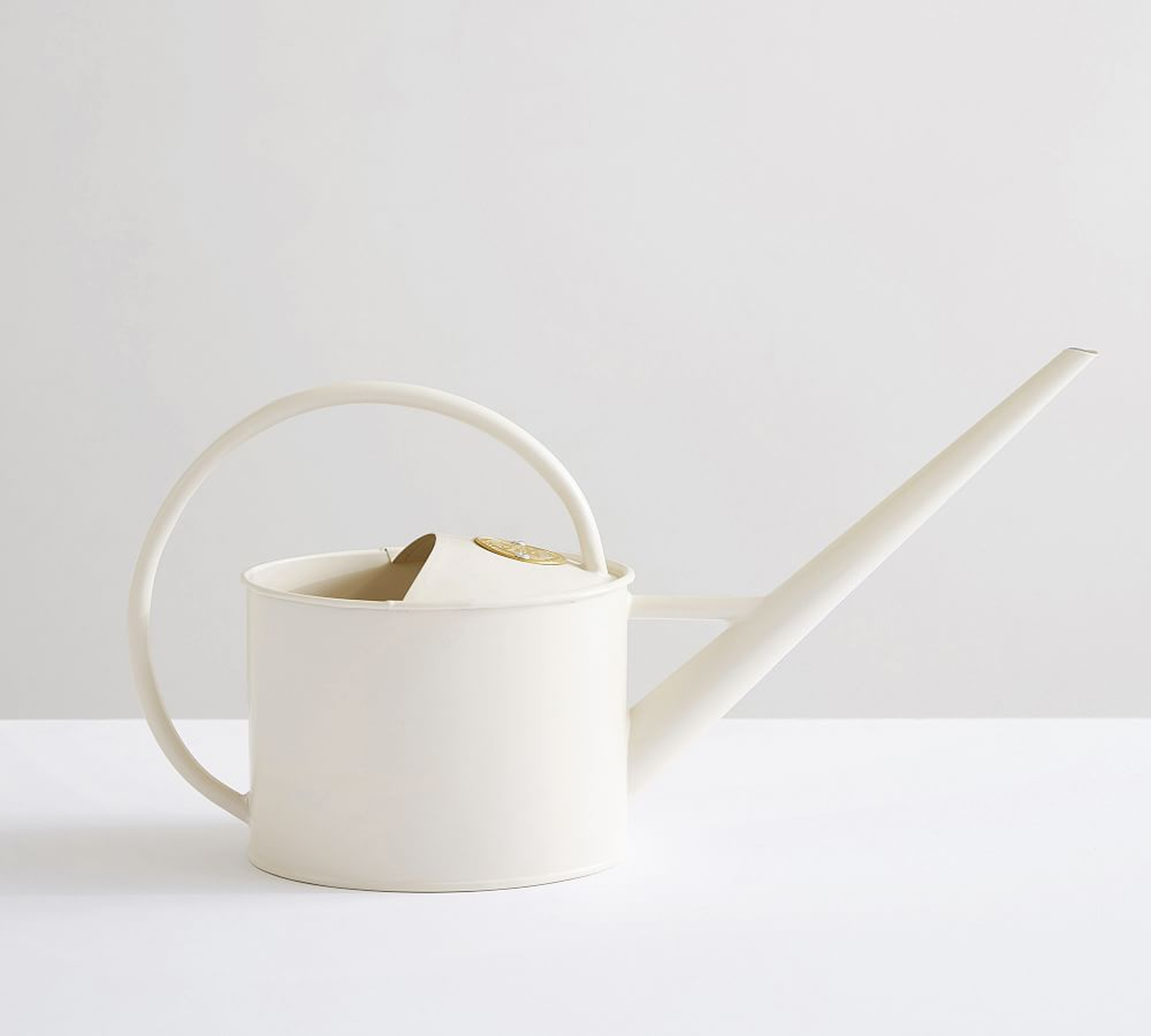 Buttermilk Watering Can - Pottery Barn