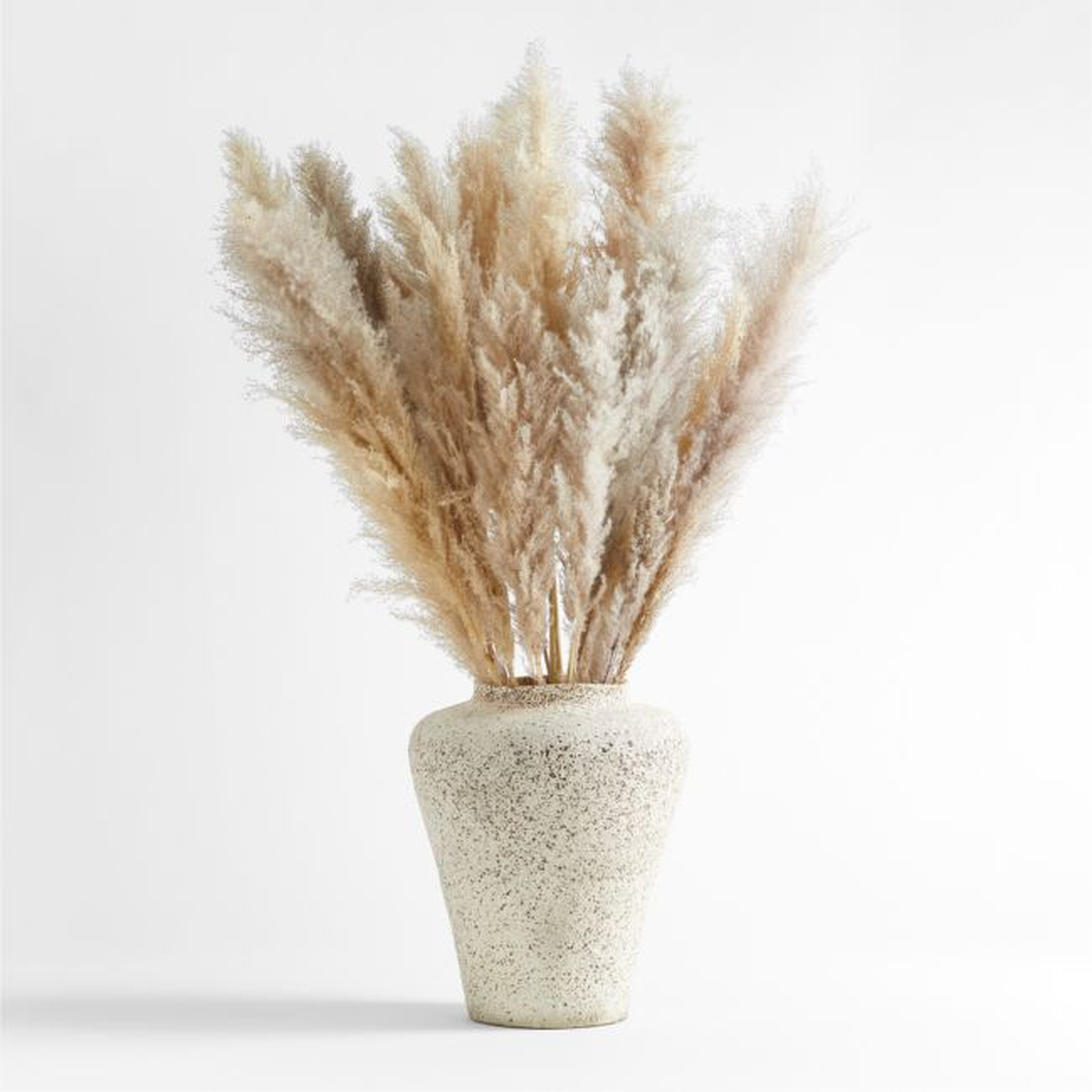 Grass Plume Feather Arrangement in Poe Volcanic Glaze Vase - Crate and Barrel