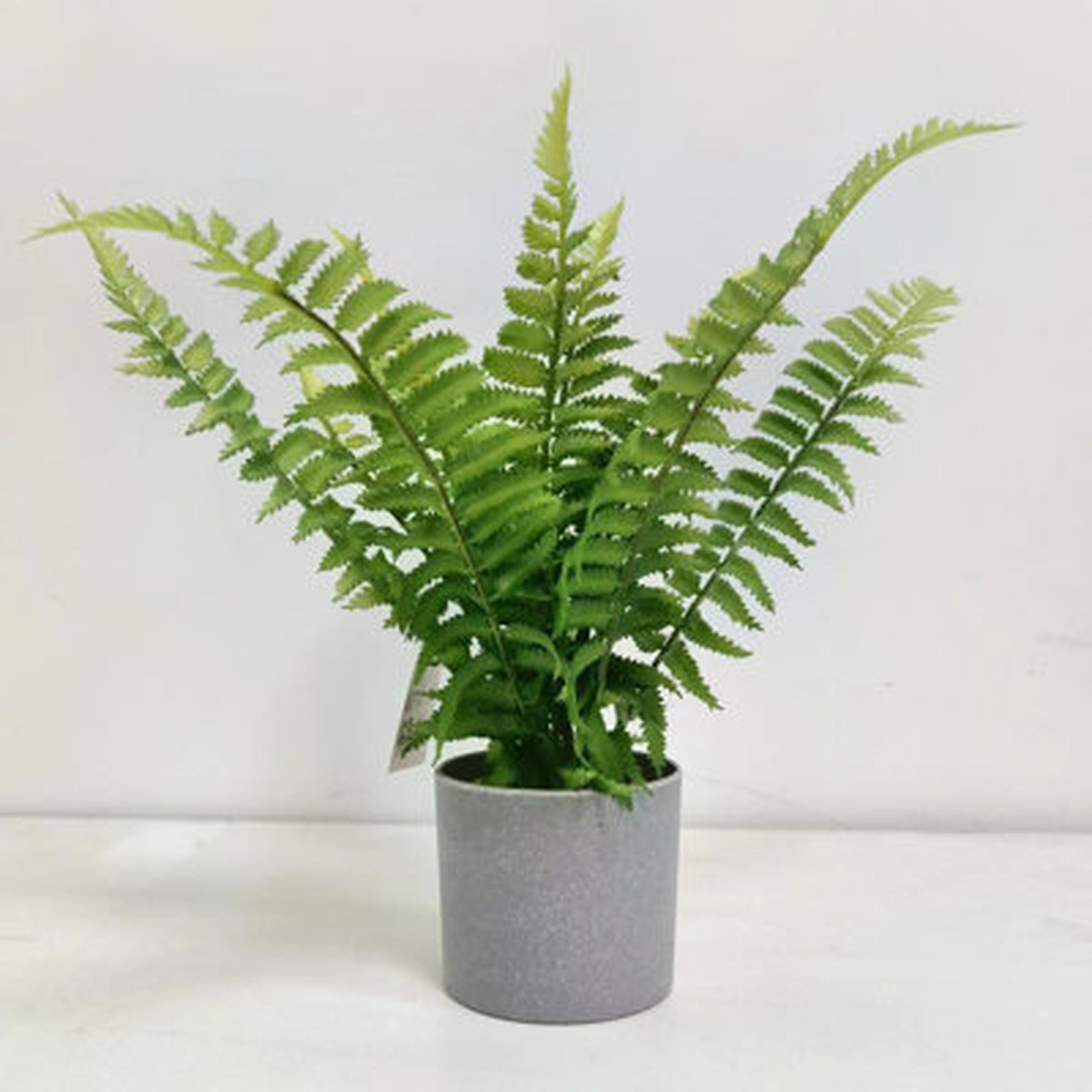 13.4'' Faux Foliage Plant in Ceramic Pot - Wayfair