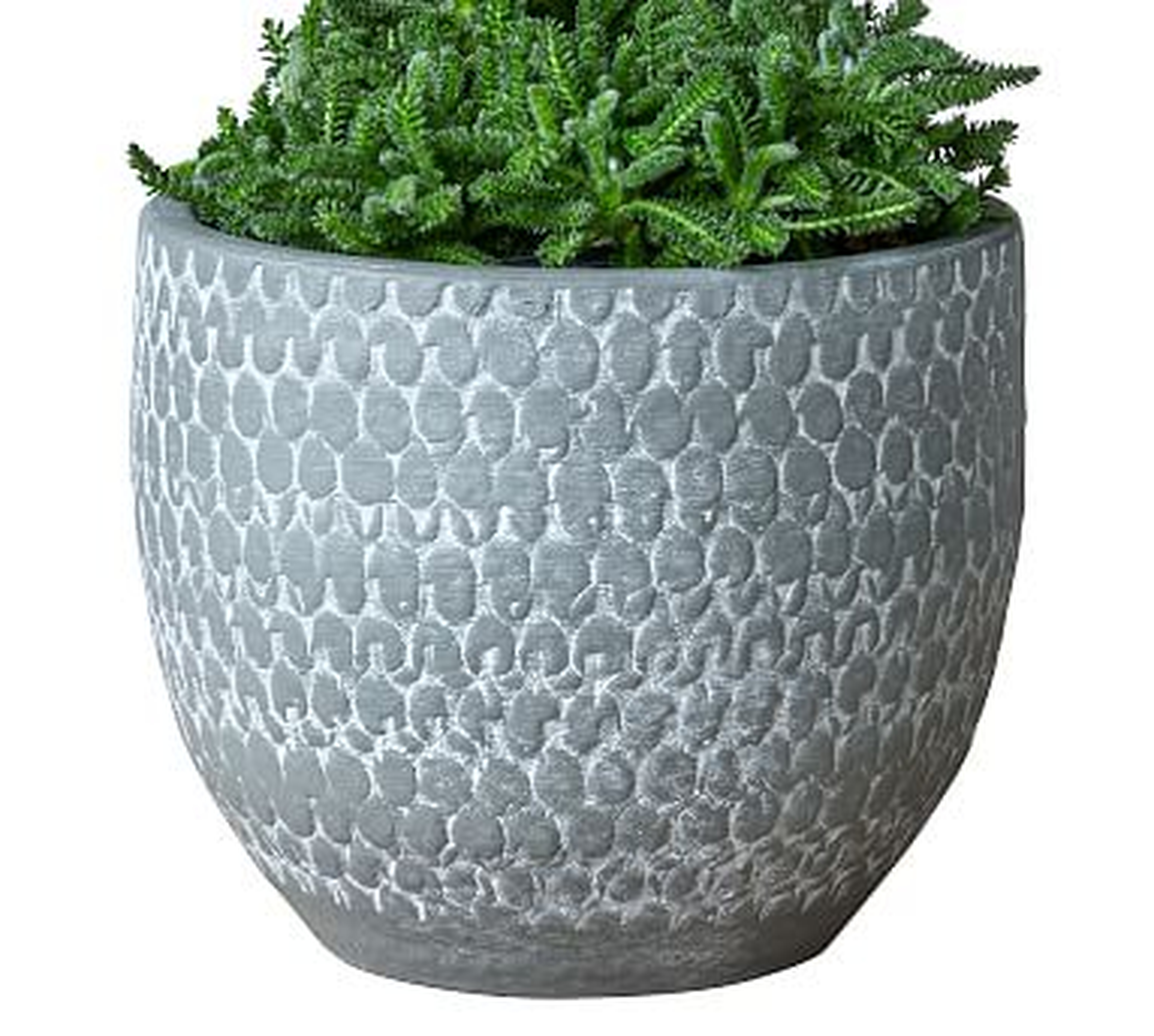 Haisley Painted Terra Cotta Planter, Gray - Large Round - Pottery Barn