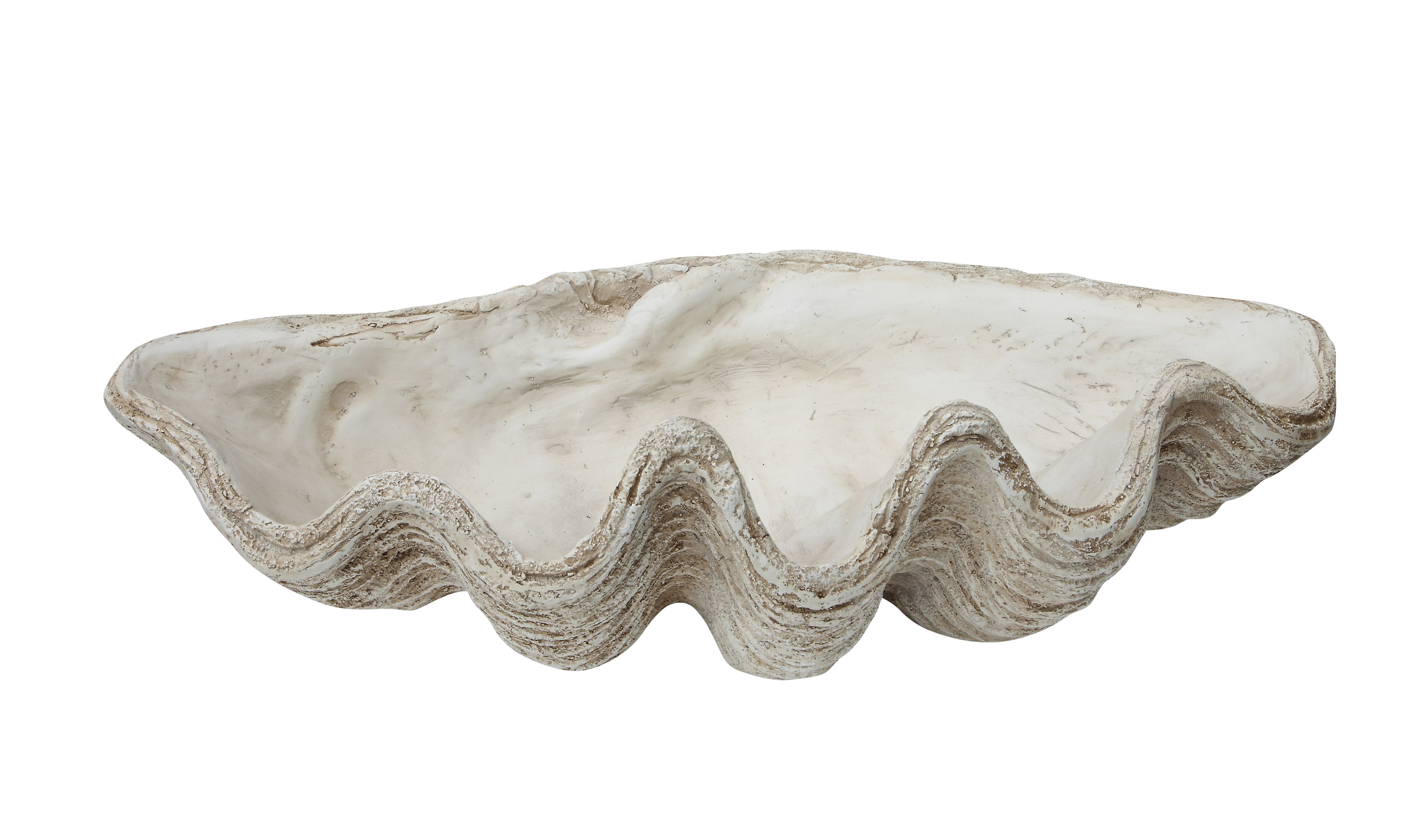 White Magnesia Seashell Decoration - Nomad Home
