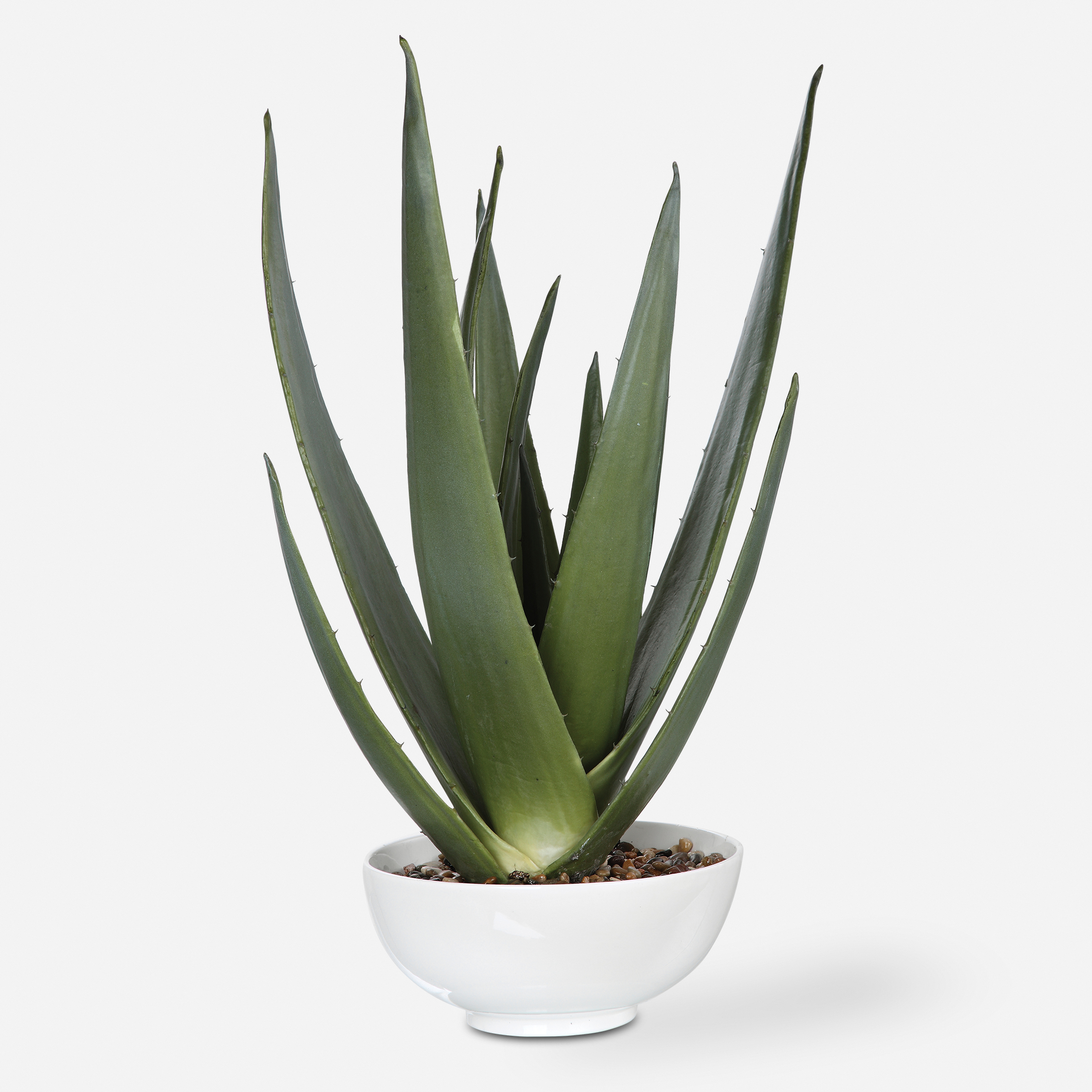 Evarado Aloe Planter - Uttermost