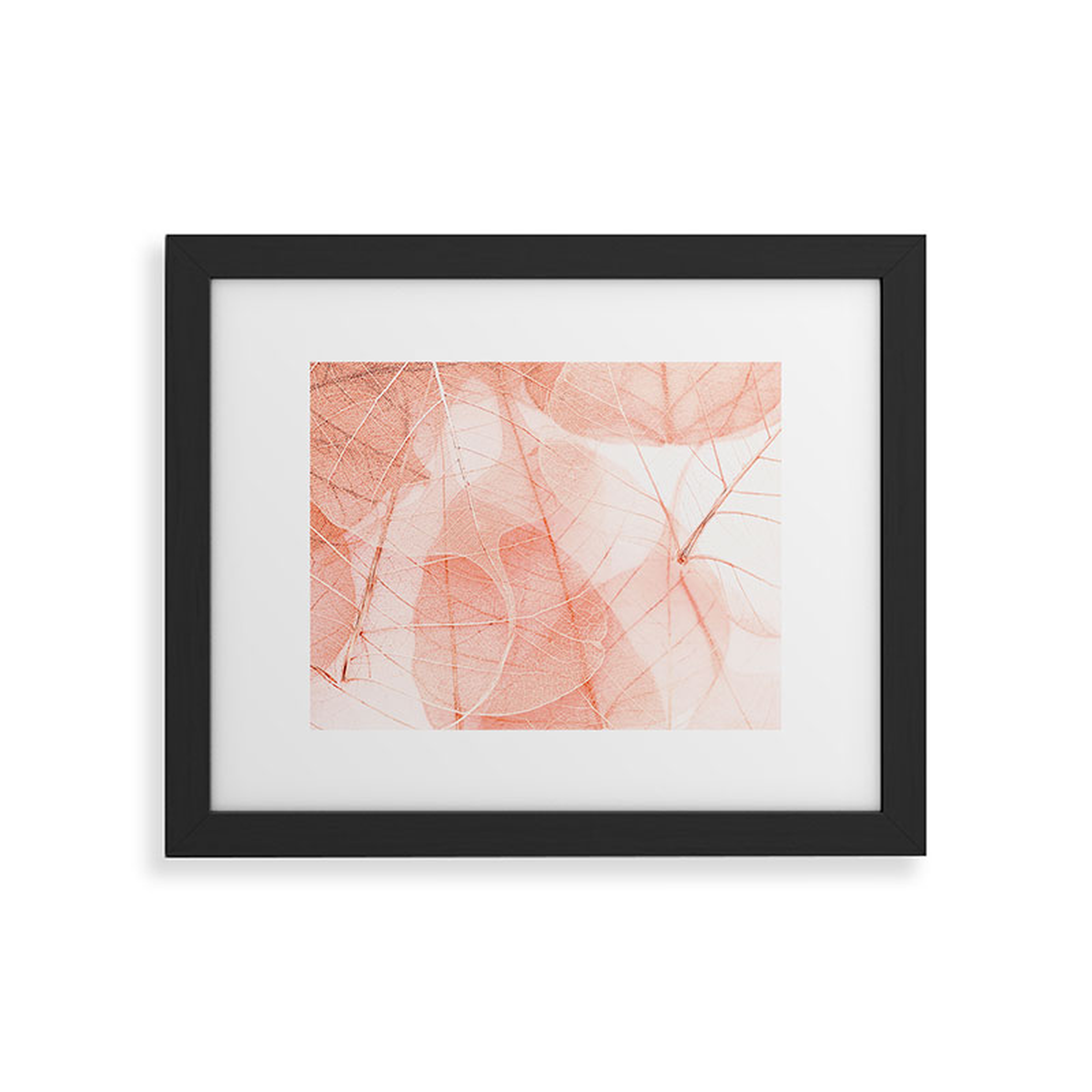 Sun Bleached Apricot by Ingrid Beddoes - Framed Art Print Classic Black 18" x 24" - Deny Designs