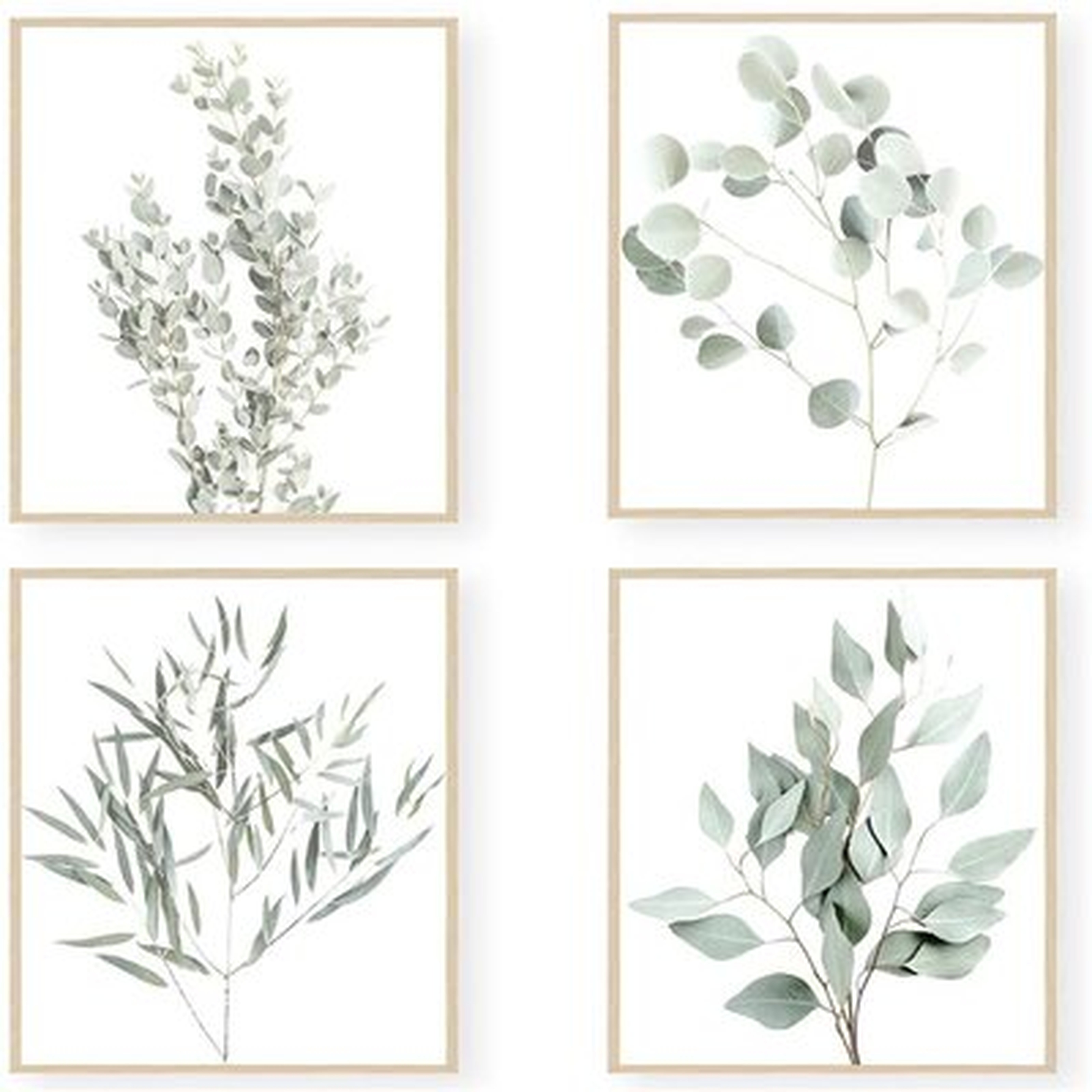 Botanical Drawing Print - Wayfair