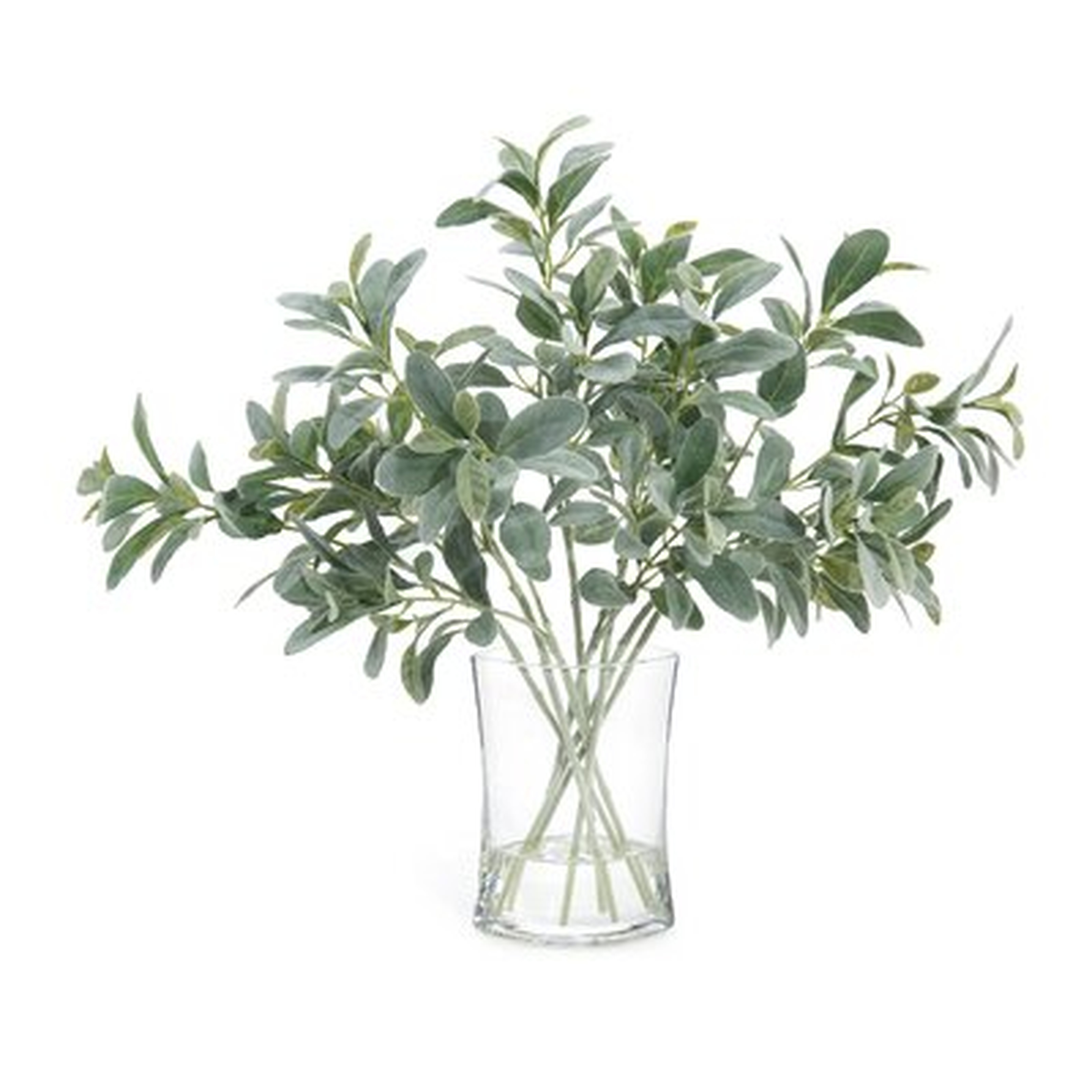 Lamb's Ear Branch in Jar - Wayfair