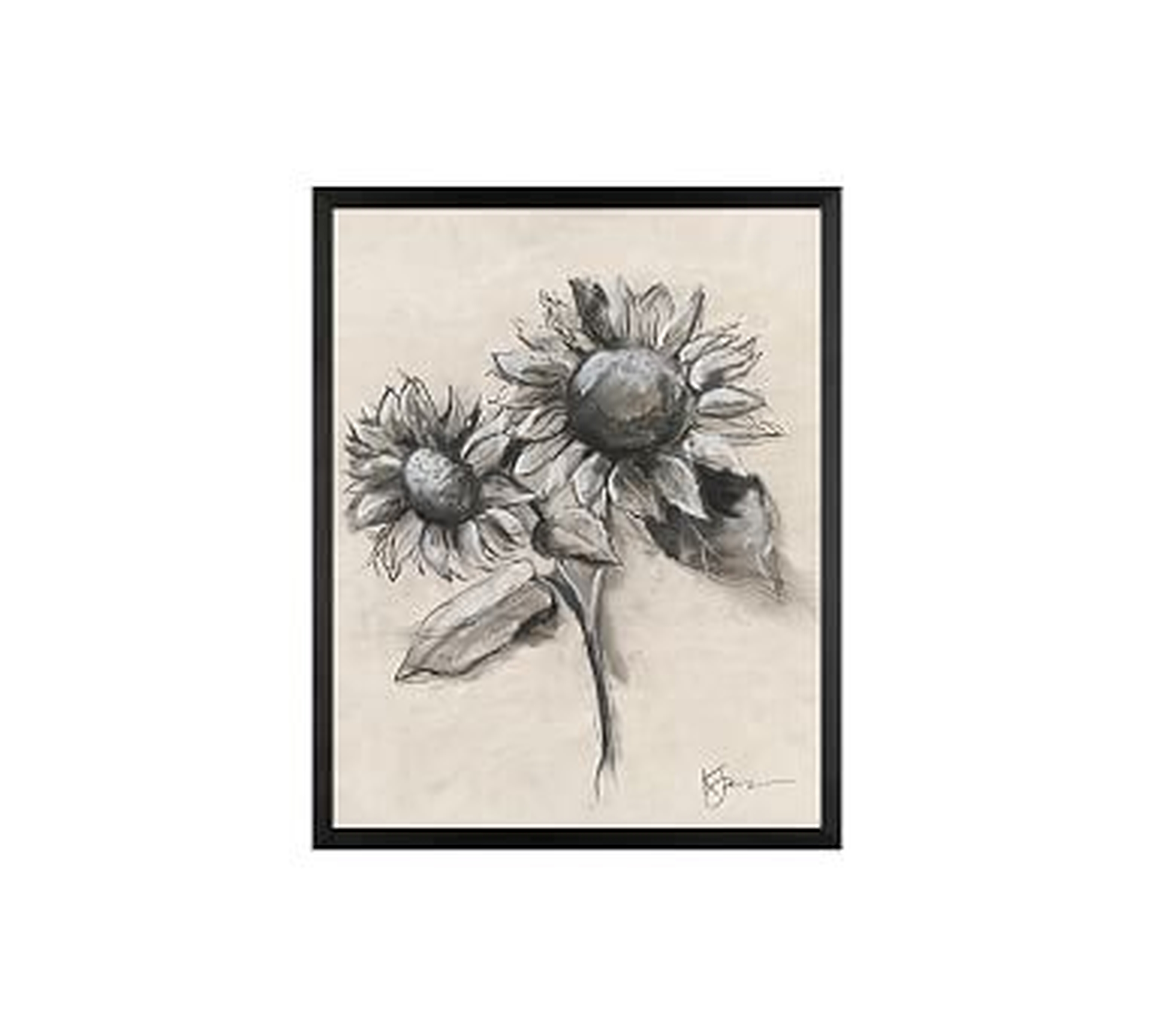 Charcoal Sunflower Sketch, Sunflower with Stem, 16" x 20" Wood Gallery, Black, No Mat - Pottery Barn