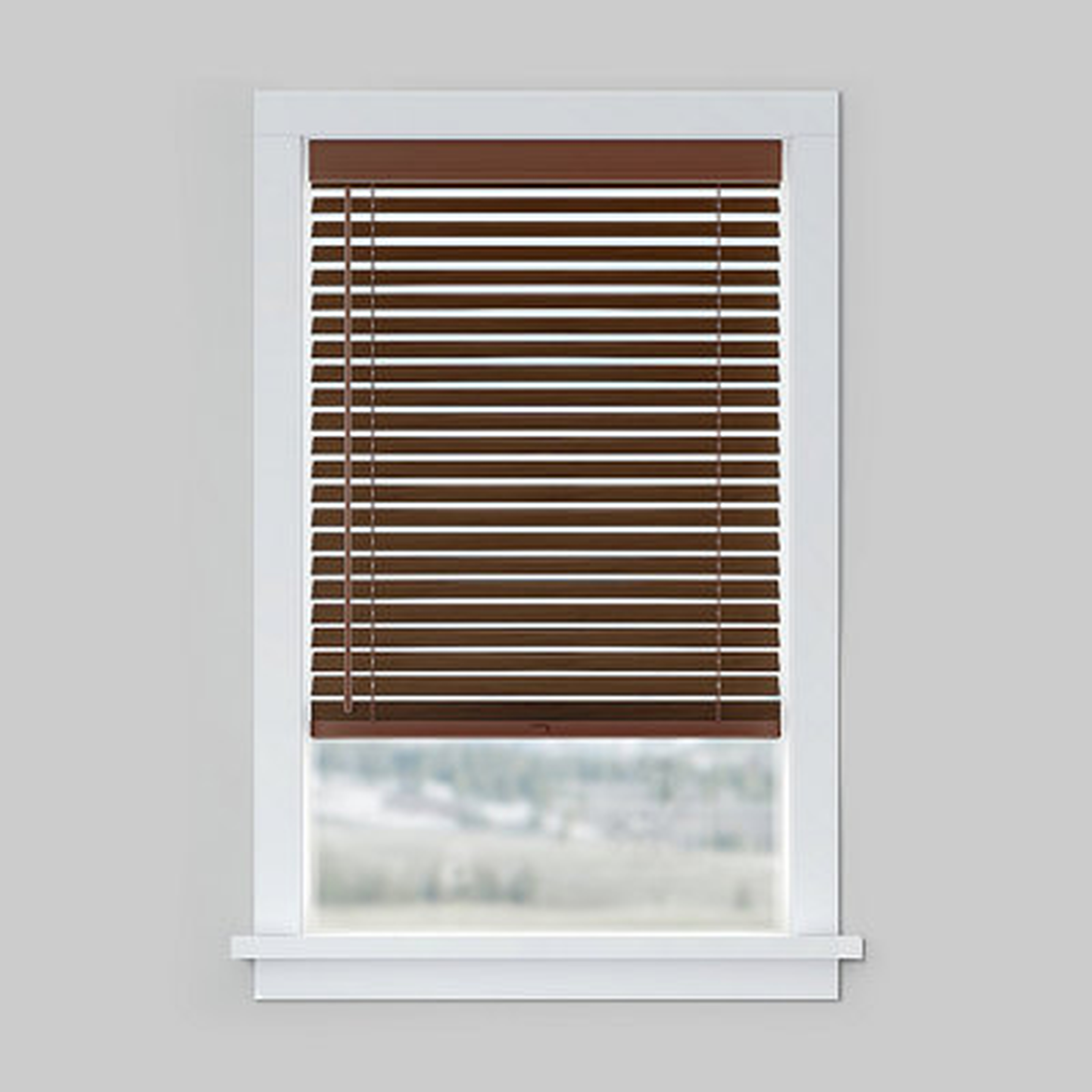 LEVOLOR Custom Cordless Horizontal Blind - Wayfair
