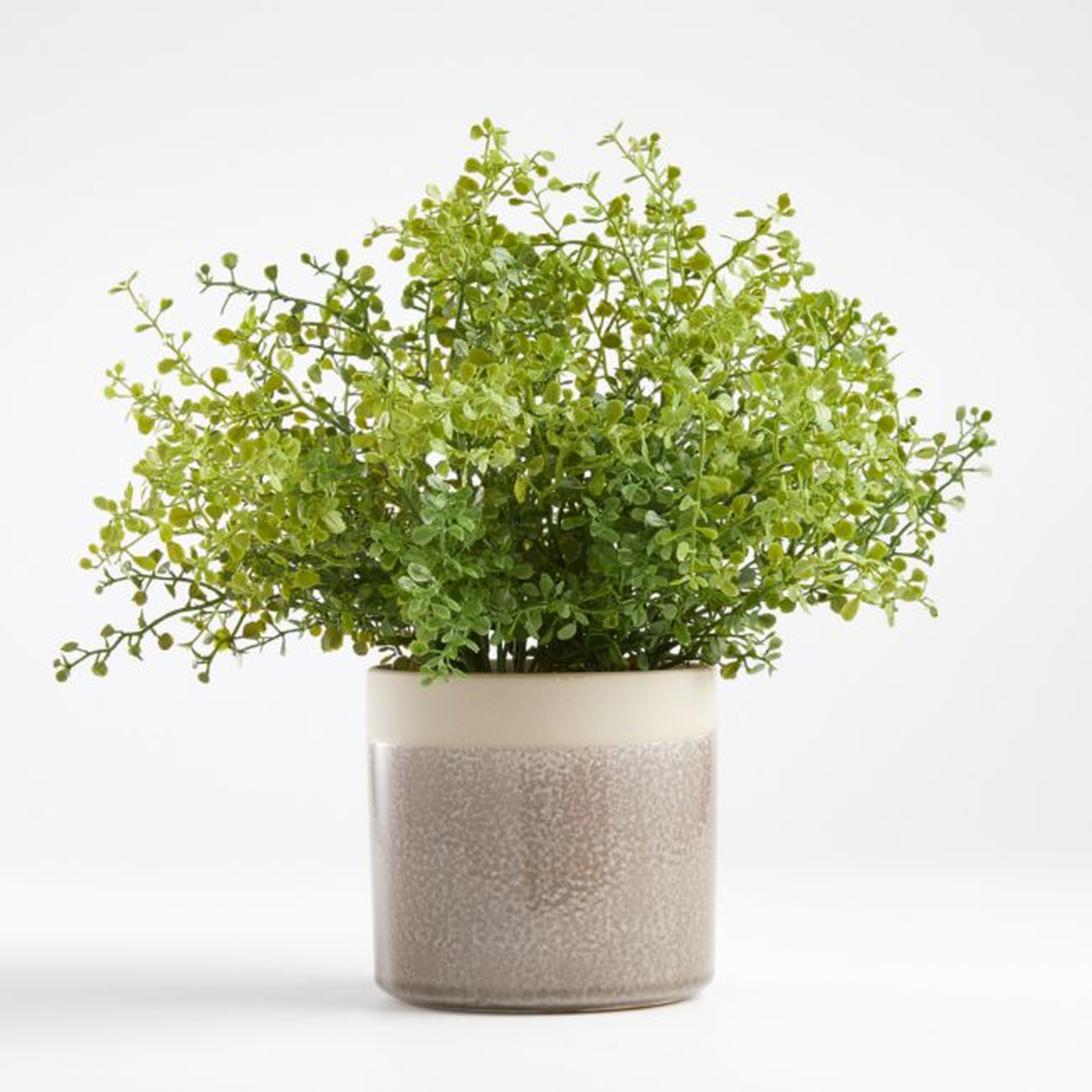 Artificial Potted Greenery - Crate and Barrel