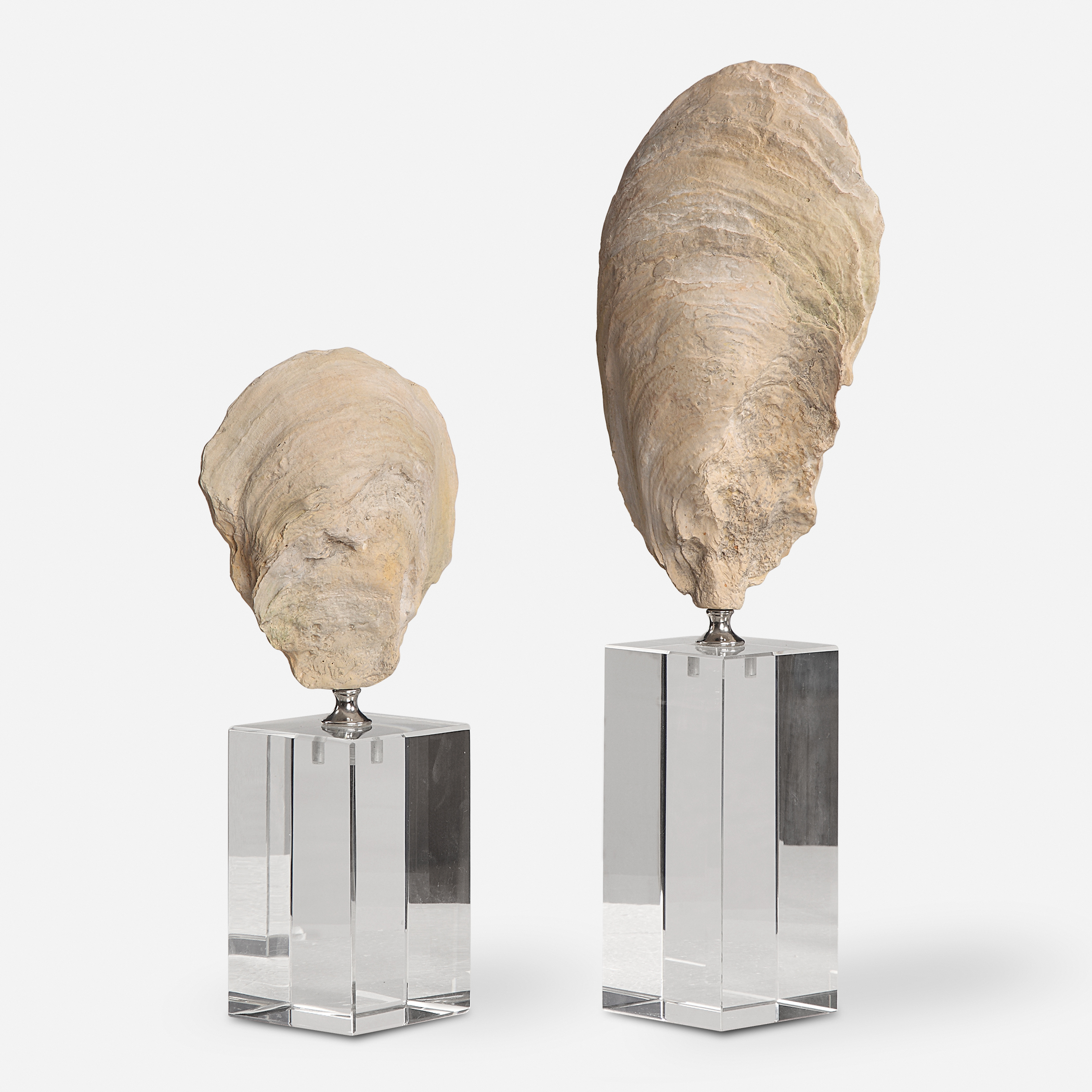 Oyster Shell Sculptures, S/2 - Uttermost