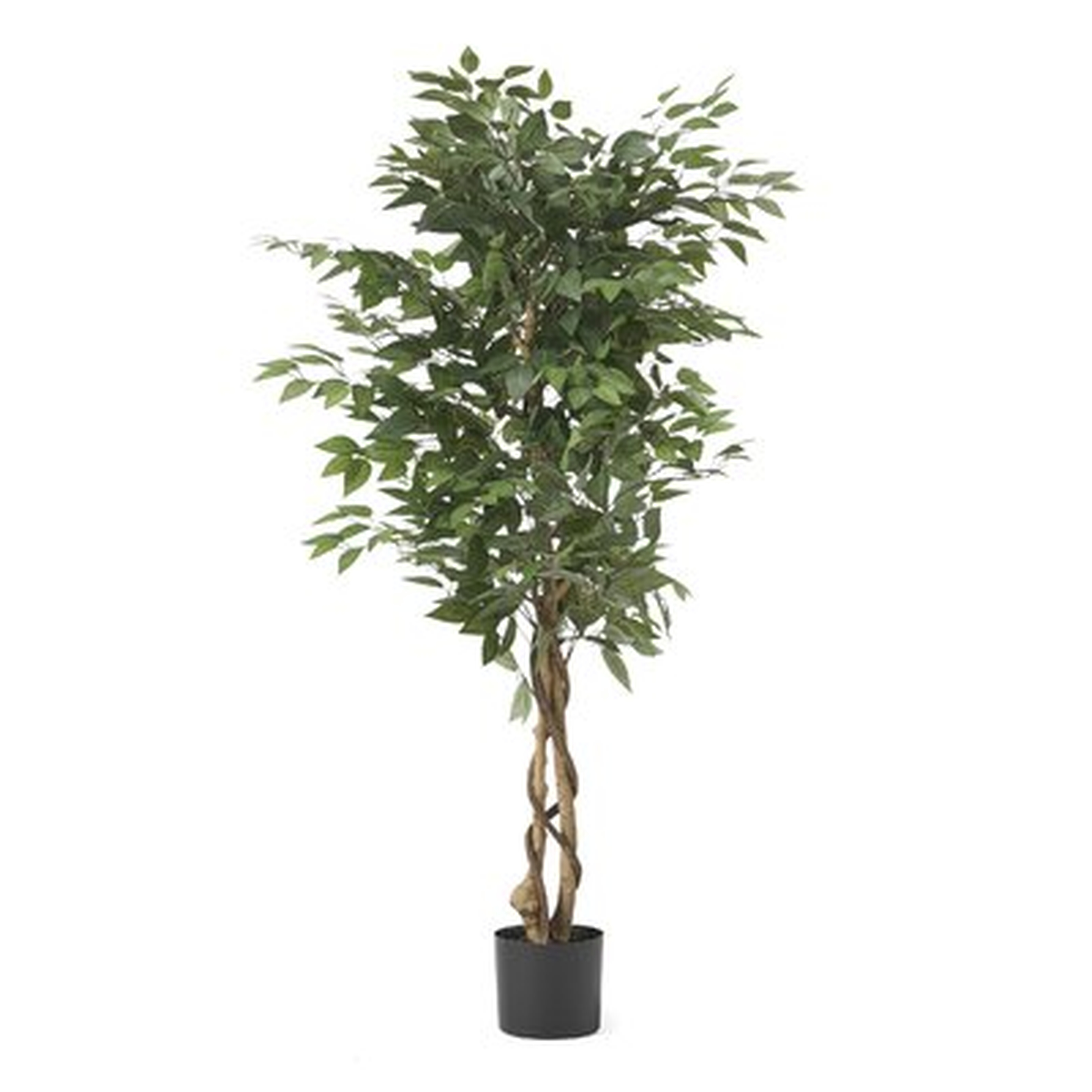 Artificial Ficus Tree - Wayfair