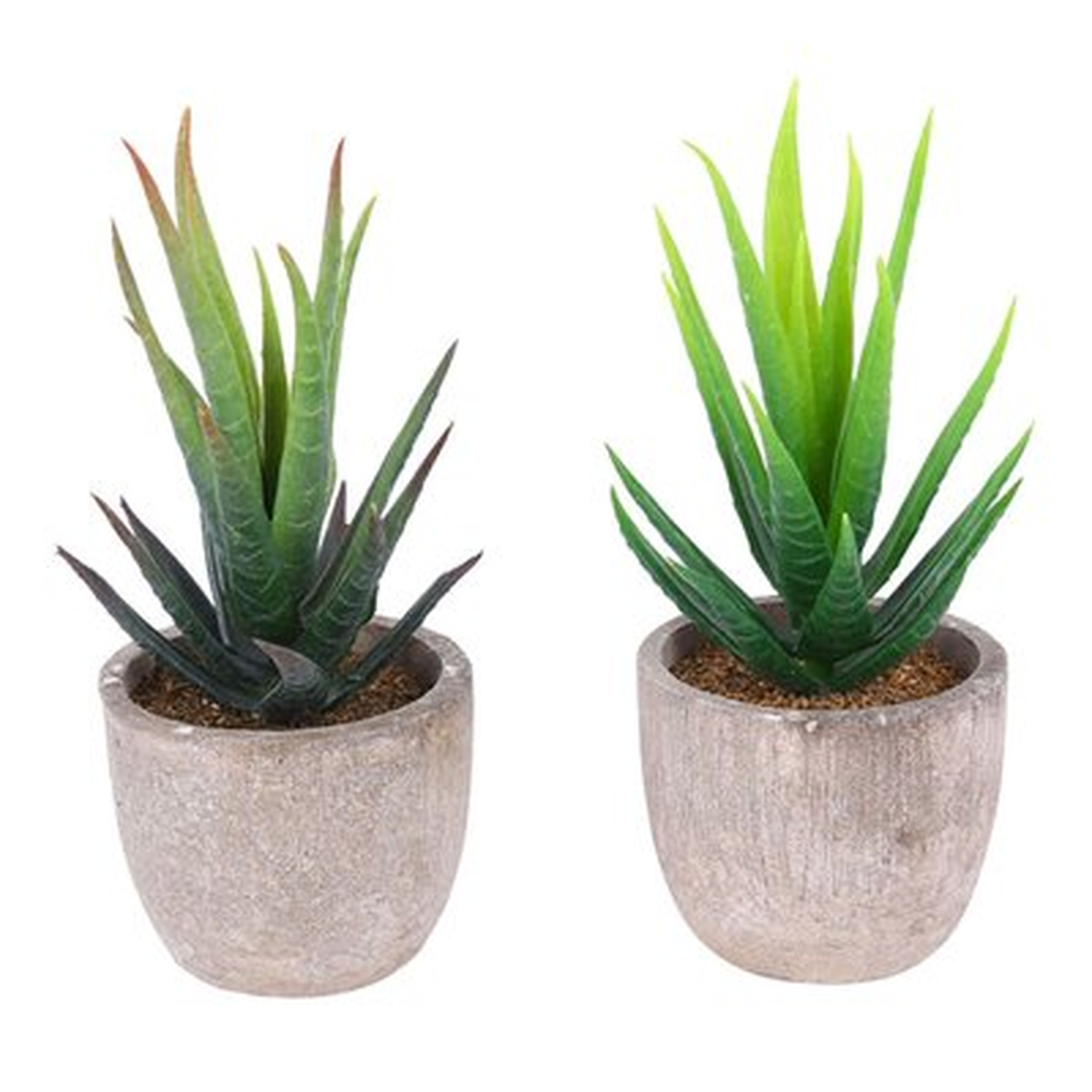 8.7" Artificial Bonsai Plant in Pot - Wayfair