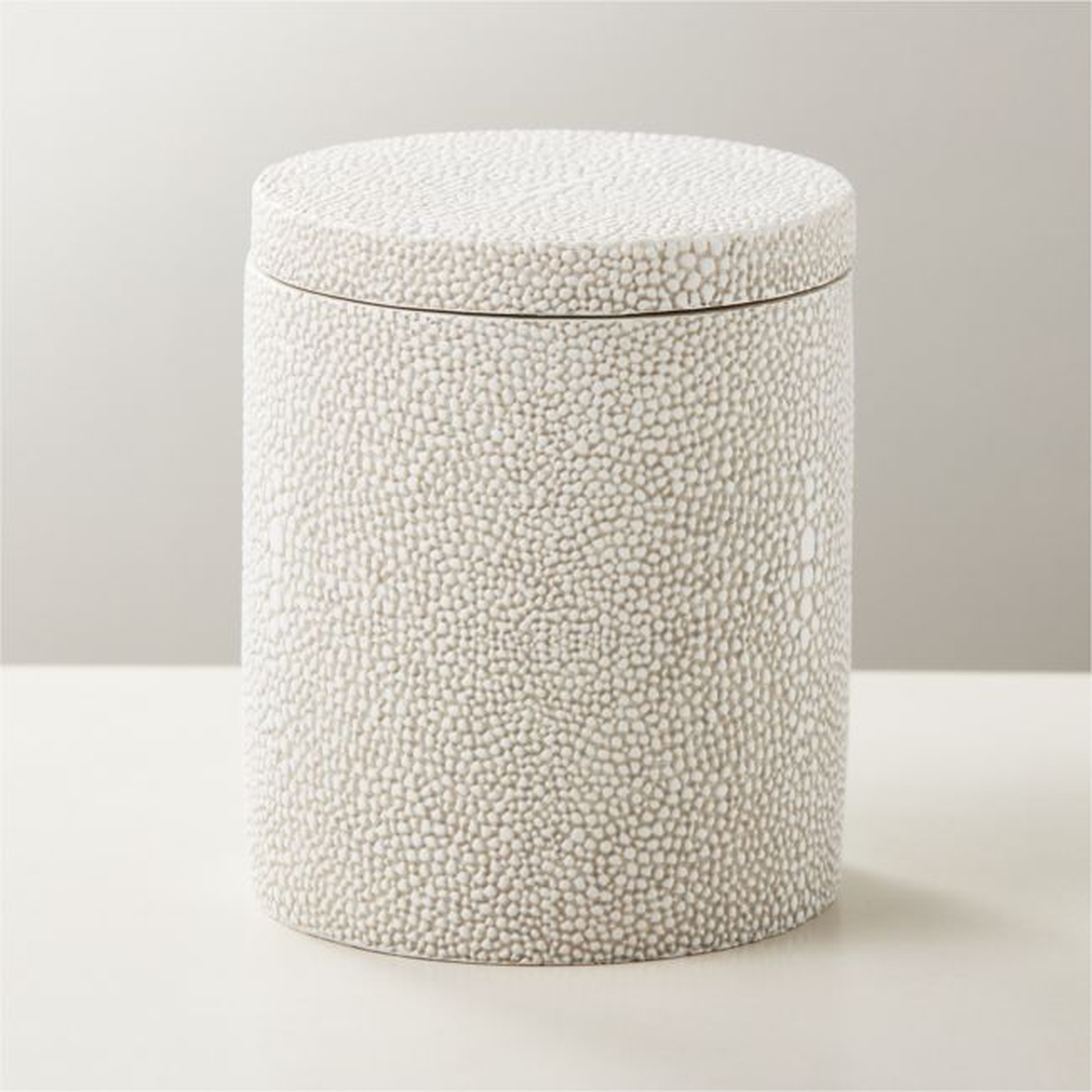 Shaw Shagreen Ivory Canister - CB2