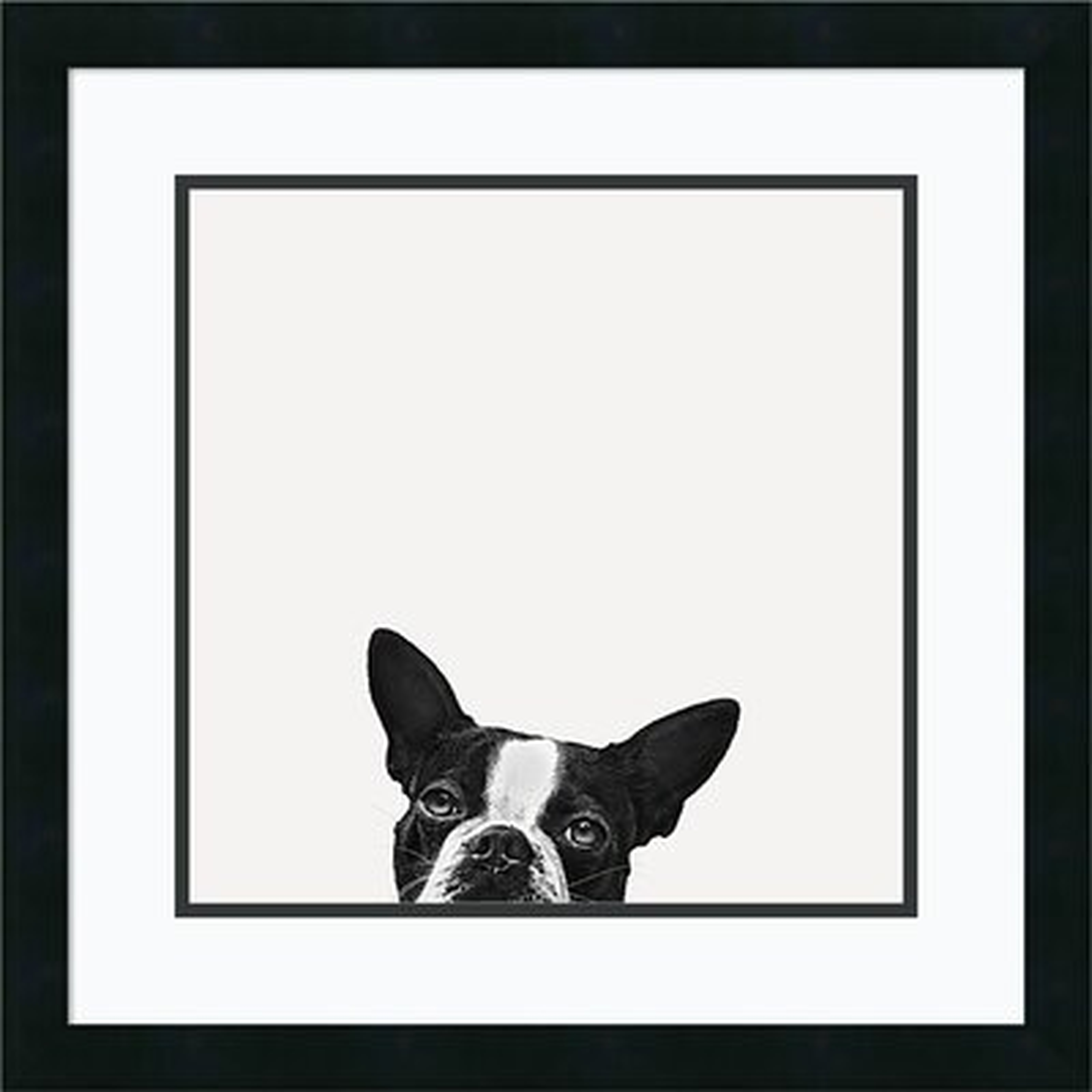 Framed Art Print 'Loyalty (Dog)' by Jon Bertelli: Outer Size 22 x 22" by Jon Bertelli - Picture Frame Photograph Print on Paper - AllModern
