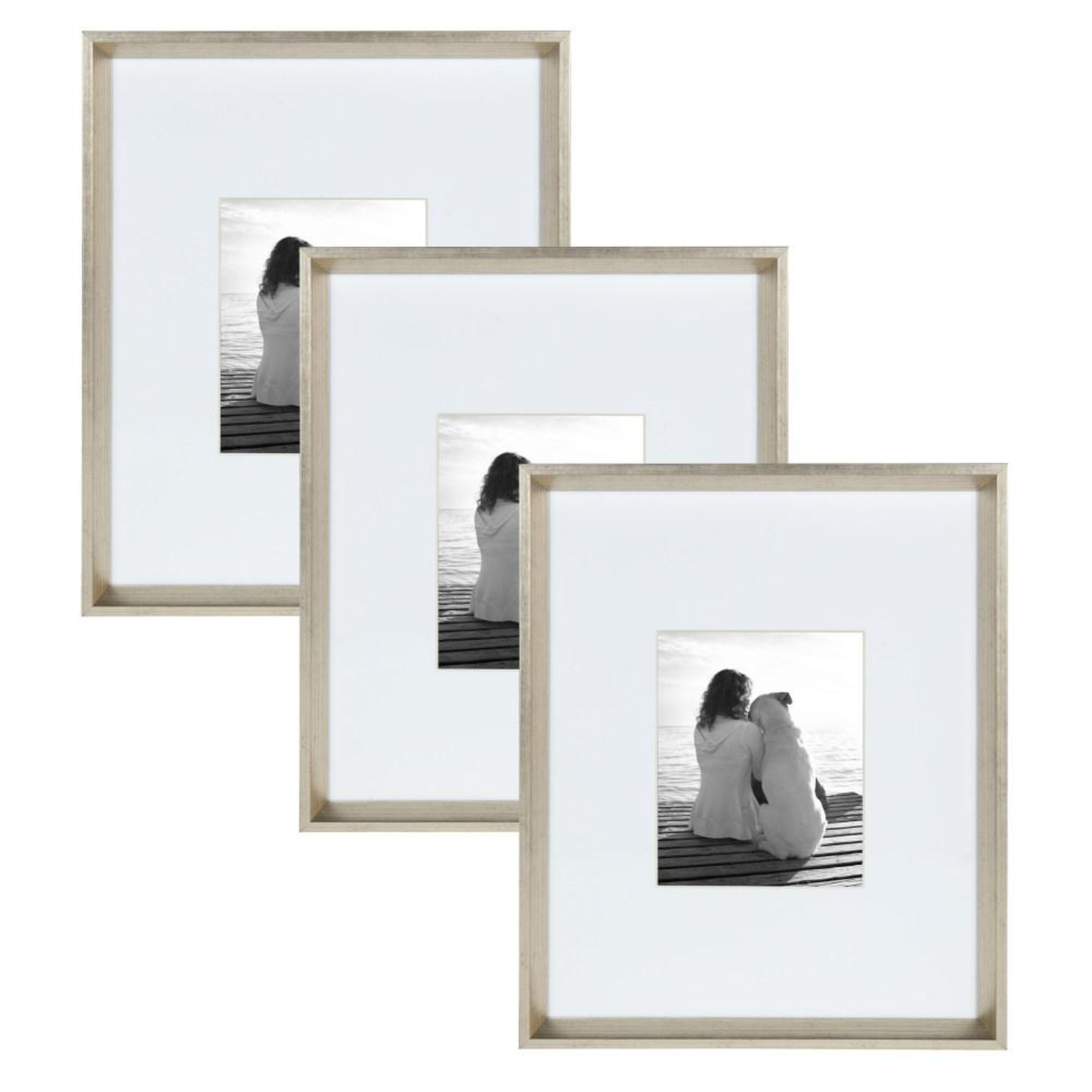 Calter 16x20 matted to 8x10 Silver Picture Frame (Set of 3) - Home Depot