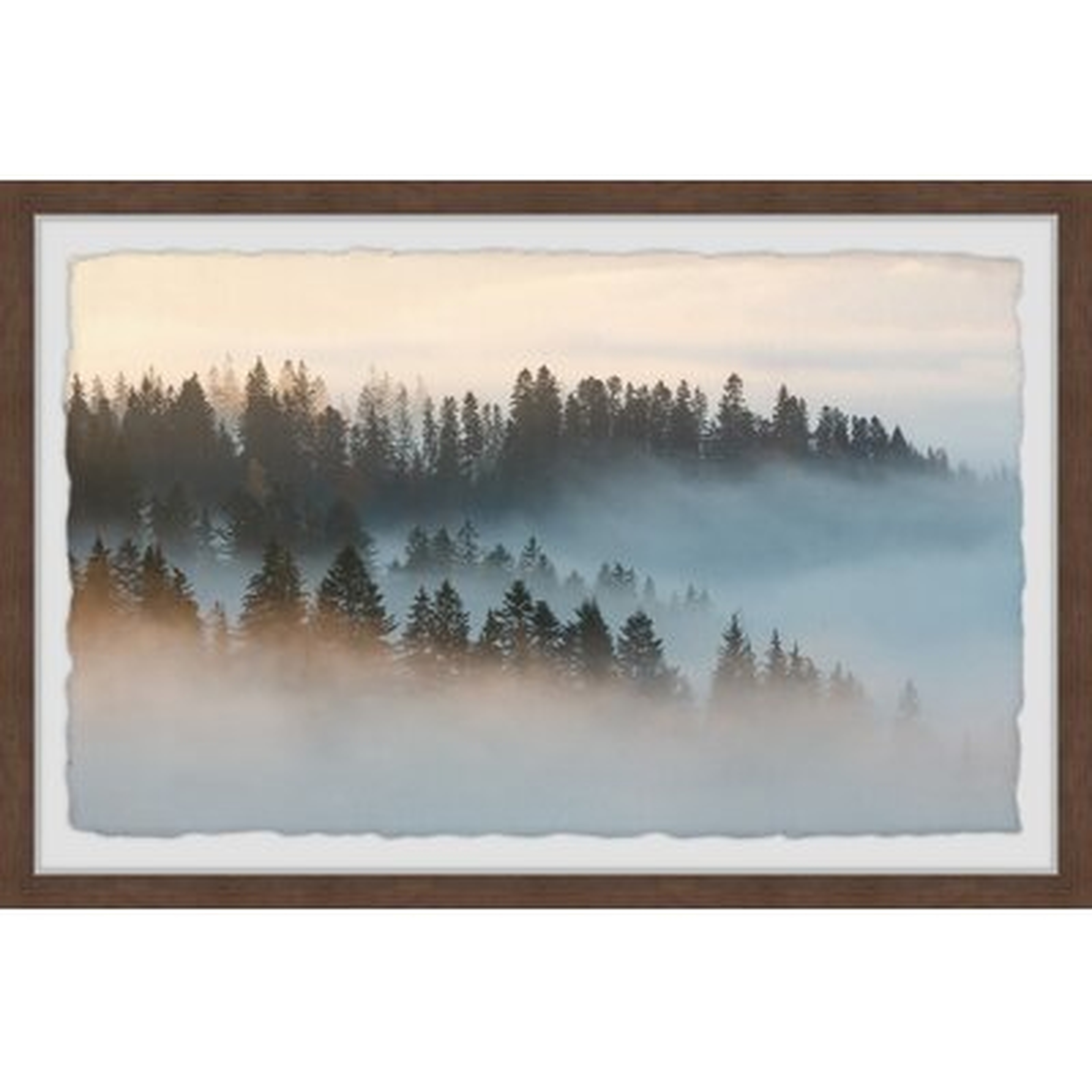 'Morning at the Forest' - Picture Frame Print on Paper - AllModern