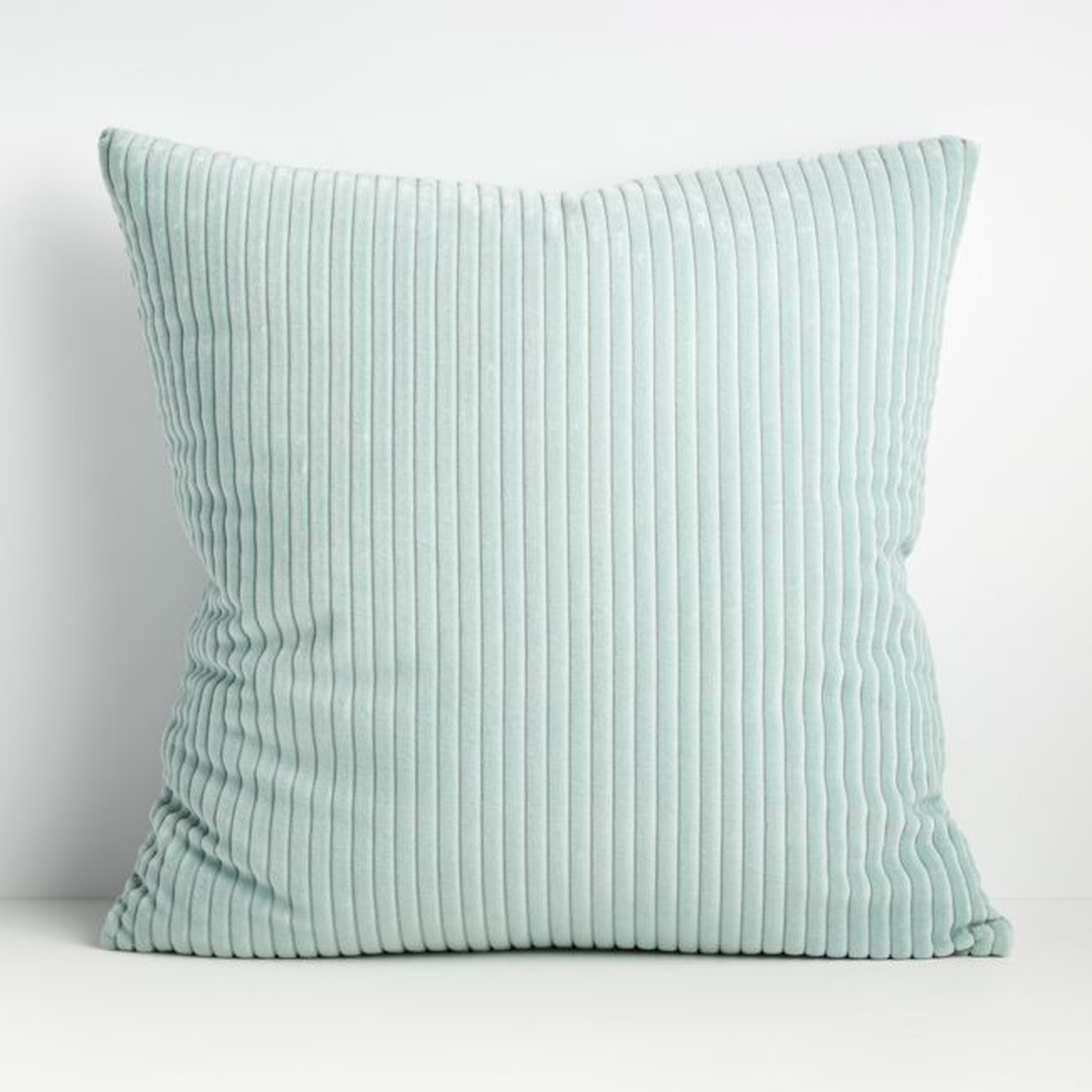 Rae Teal 23" Pillow Pillow with Down-Alternative Insert - Crate and Barrel