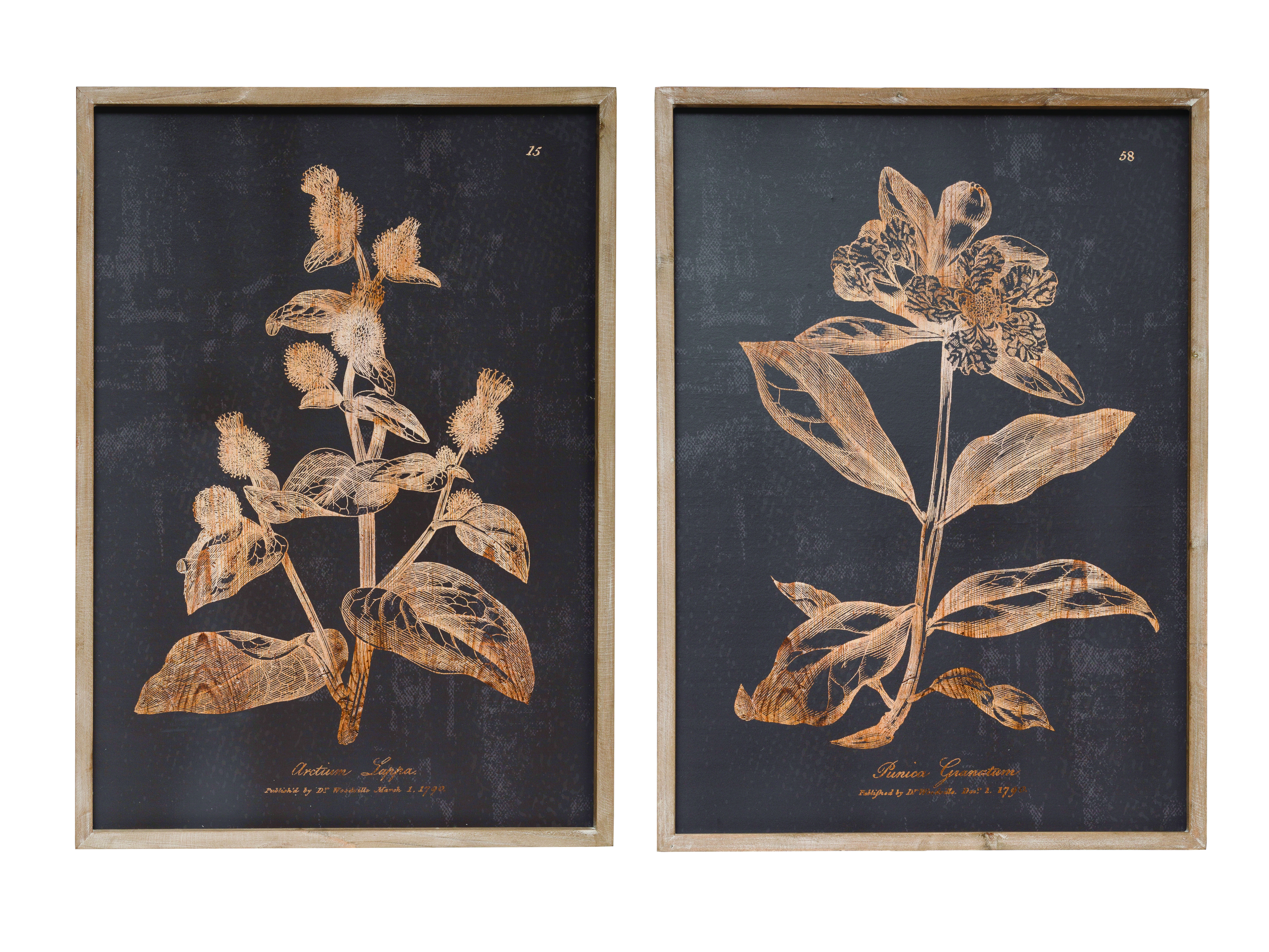 Wood Wall Décor with Botanical Print, Set 2 Styles - Creative Co-Op
