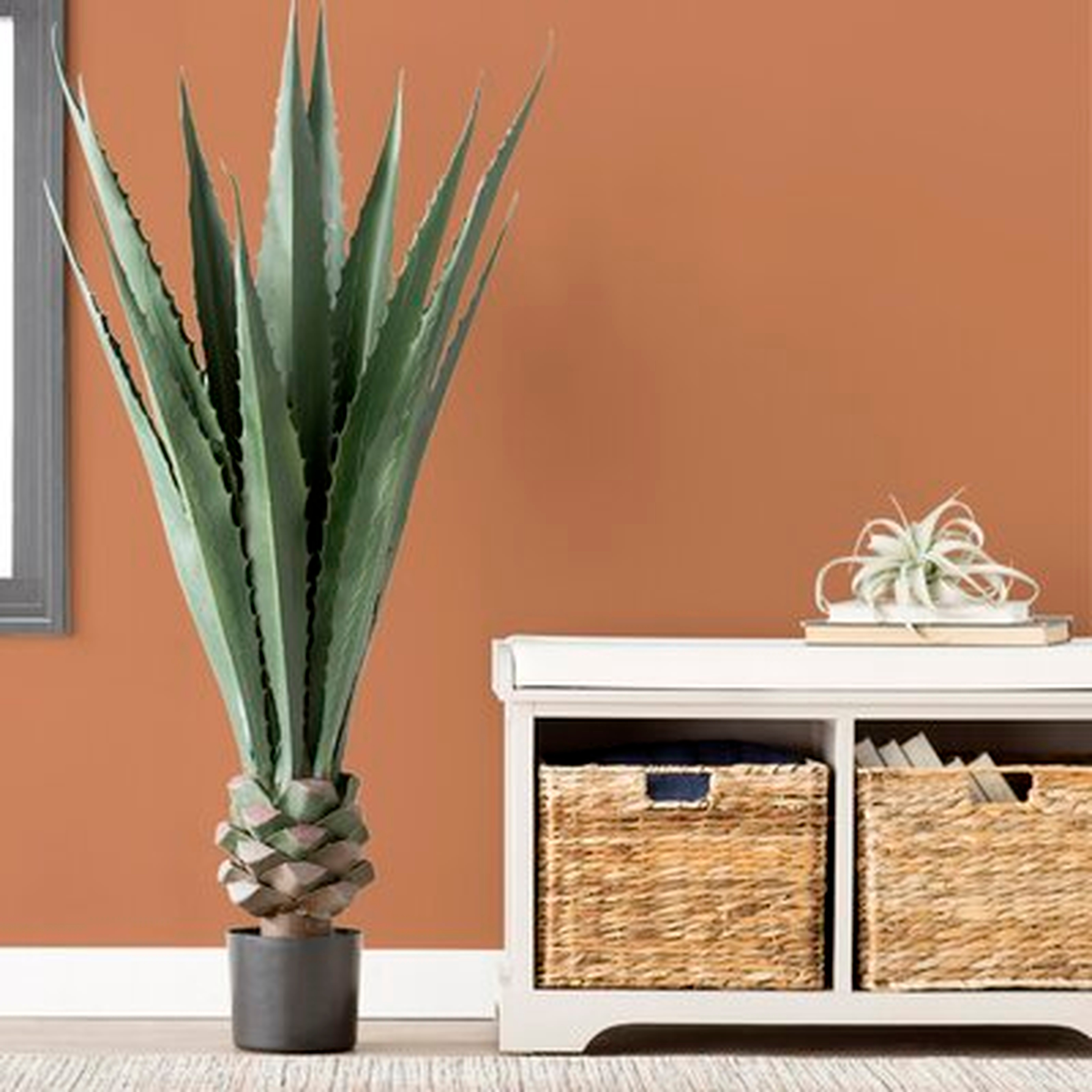 Agave Plant in Planter - Wayfair