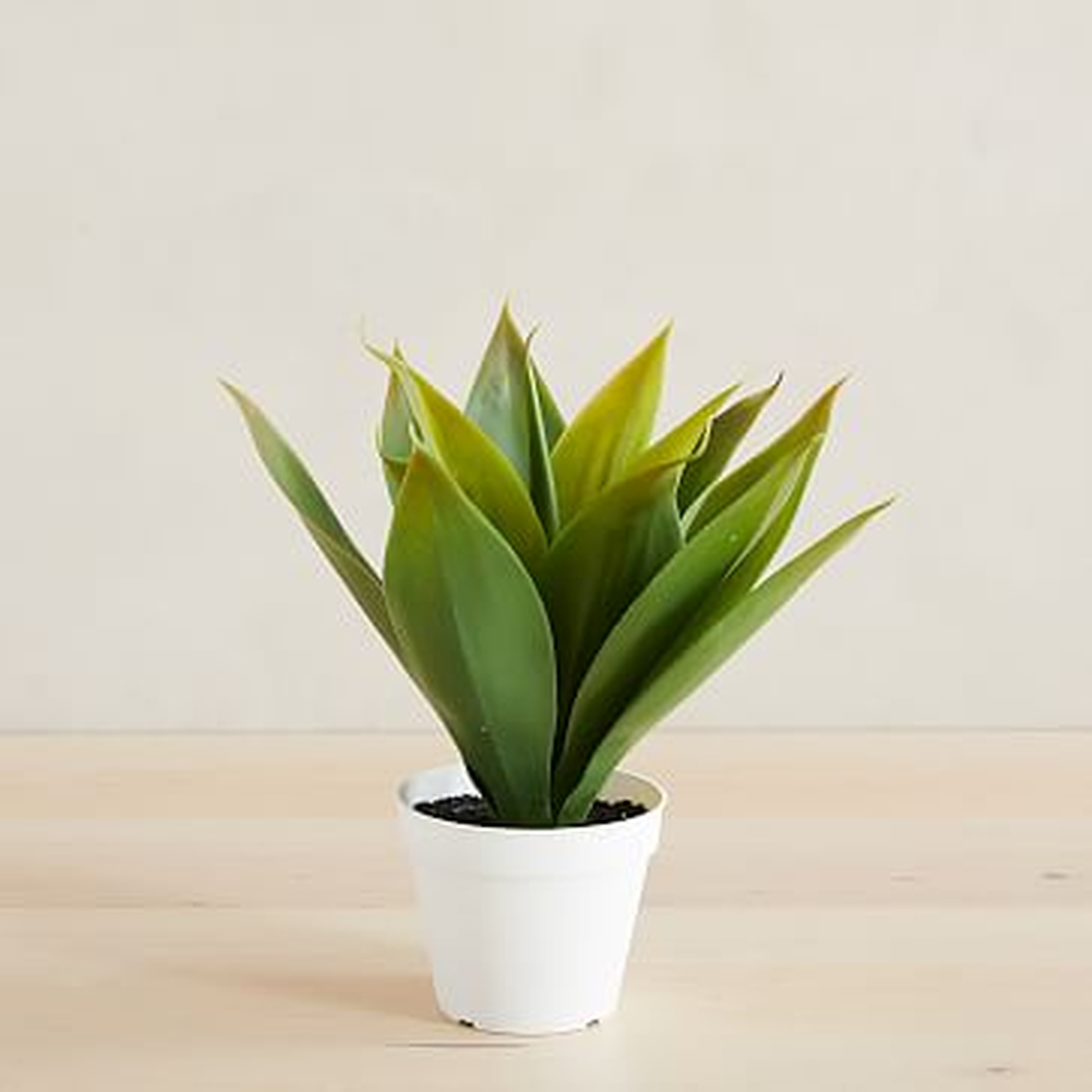 Faux Potted Agave, 12" - West Elm