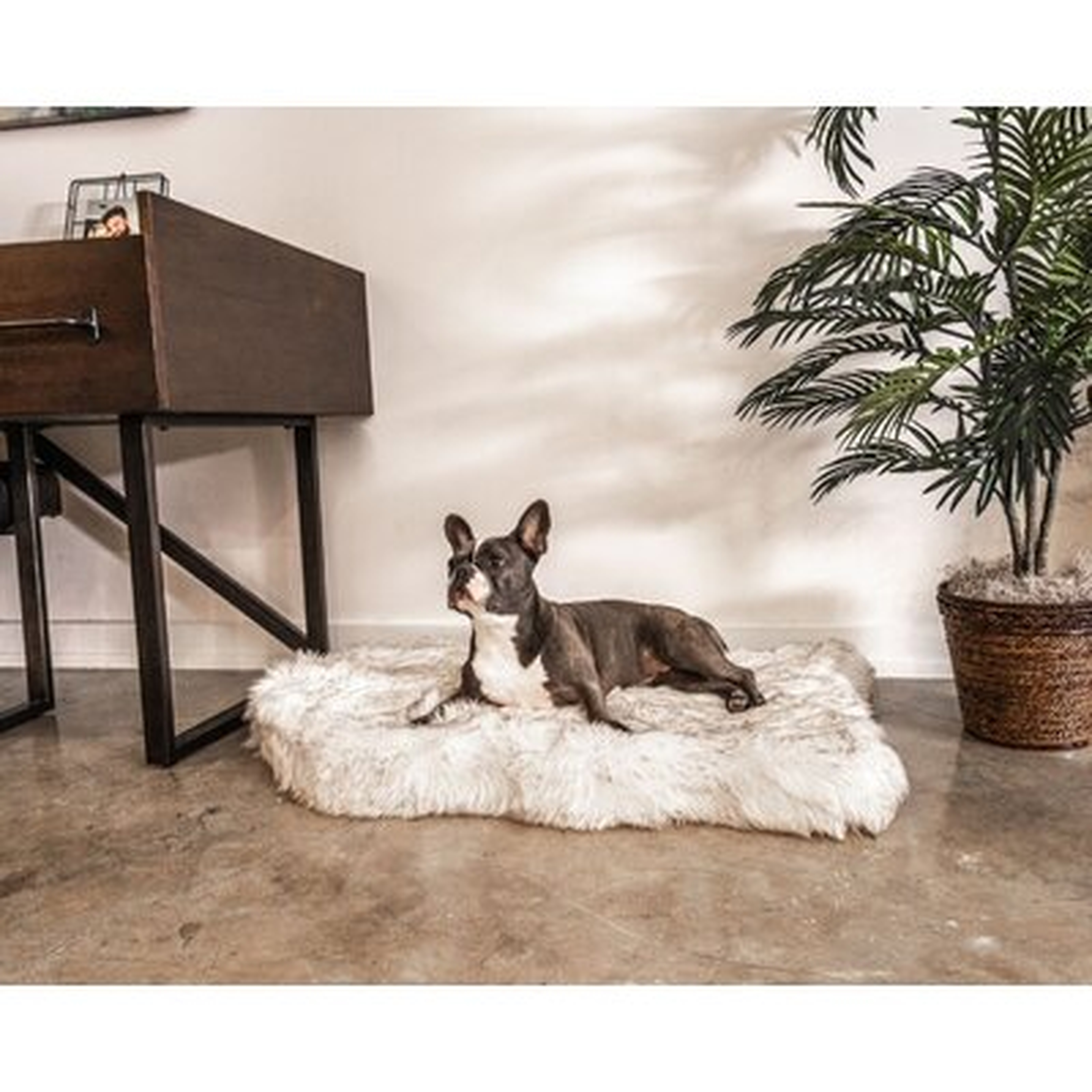 Potrero Puprug Faux Fur Orthopedic Dog Mat *Machine Washable - Wayfair