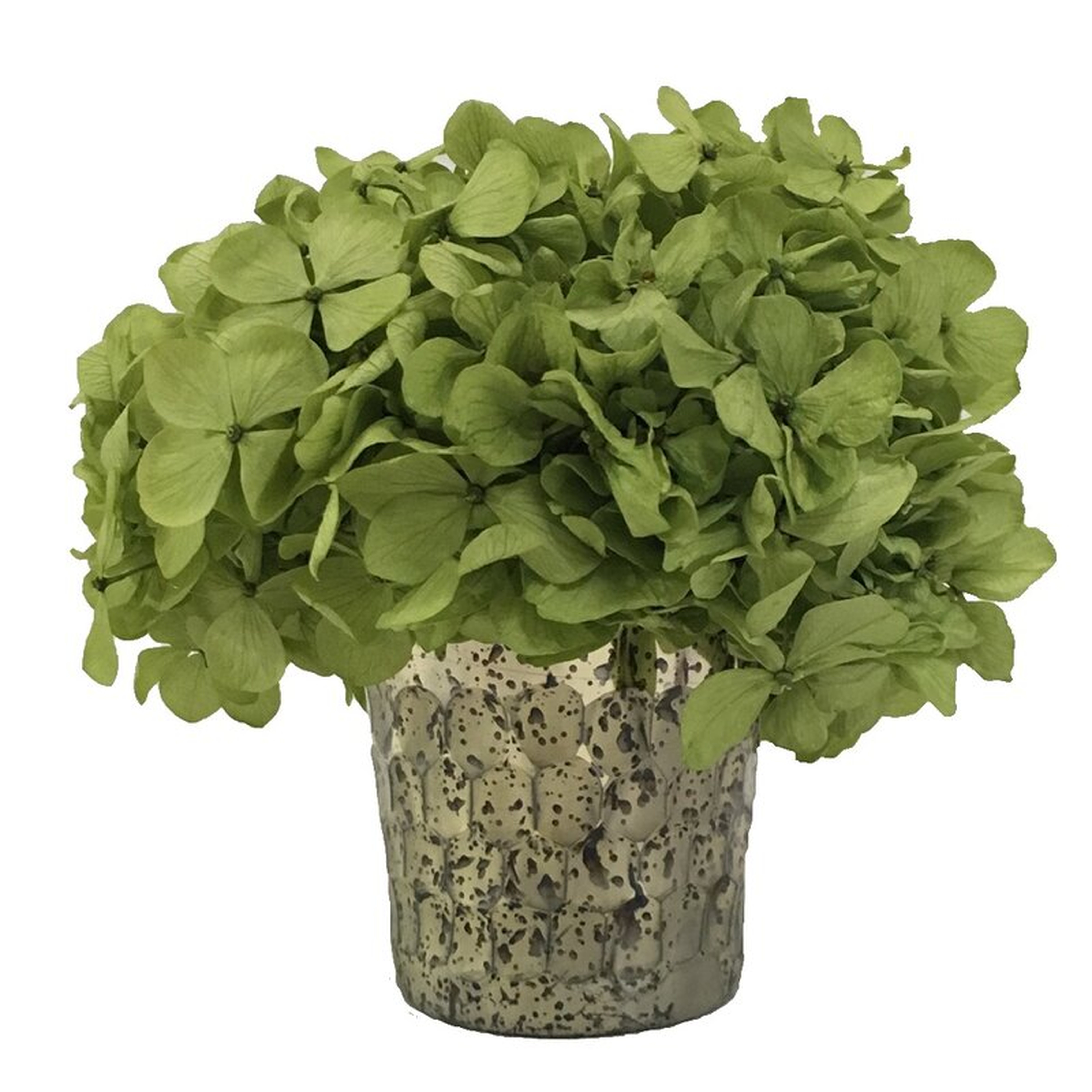 Glass Votive Hammered - Hydrangea White Flowers/Leaves Color: Basil - Perigold