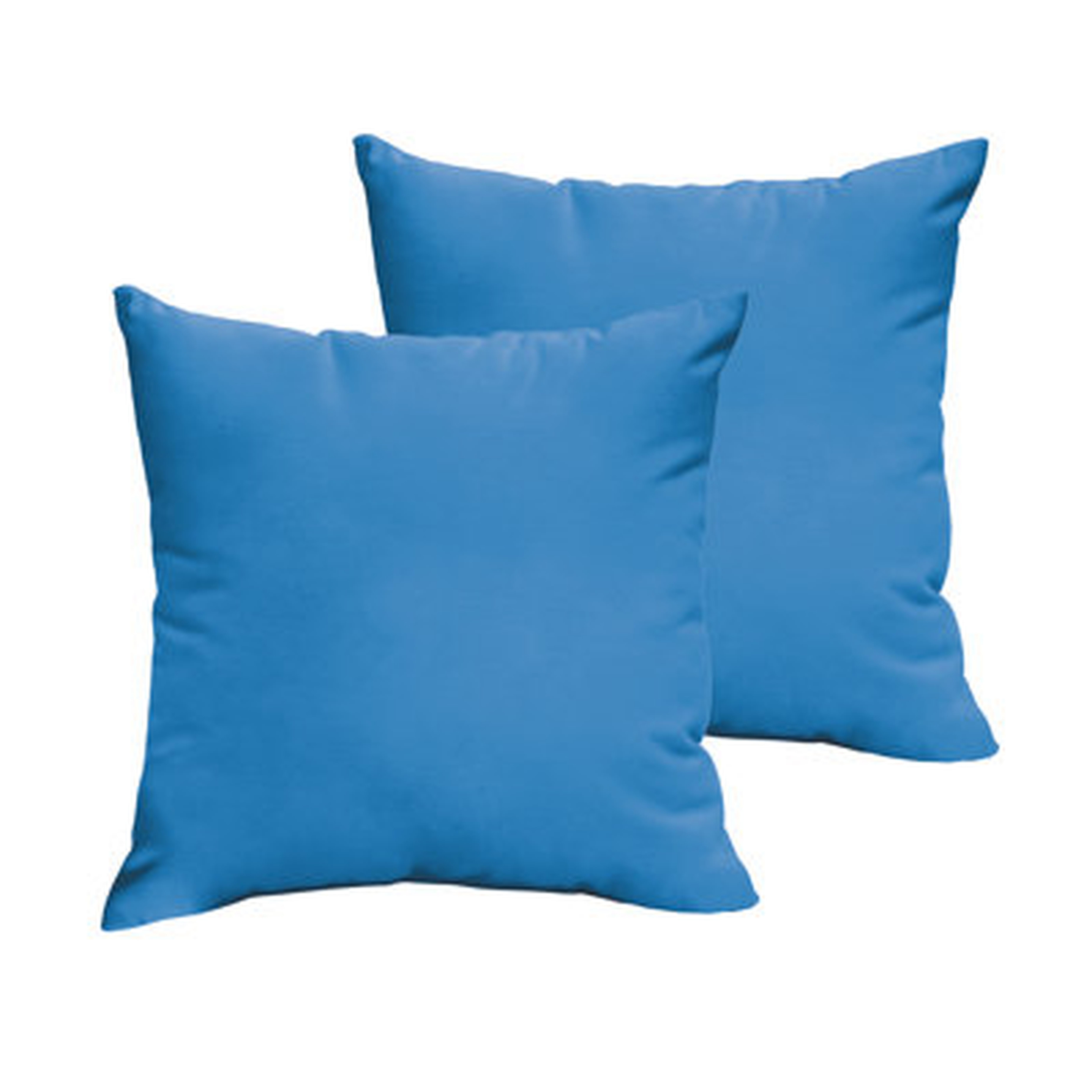 Parvati Outdoor Square Pillow Cover & Insert - AllModern