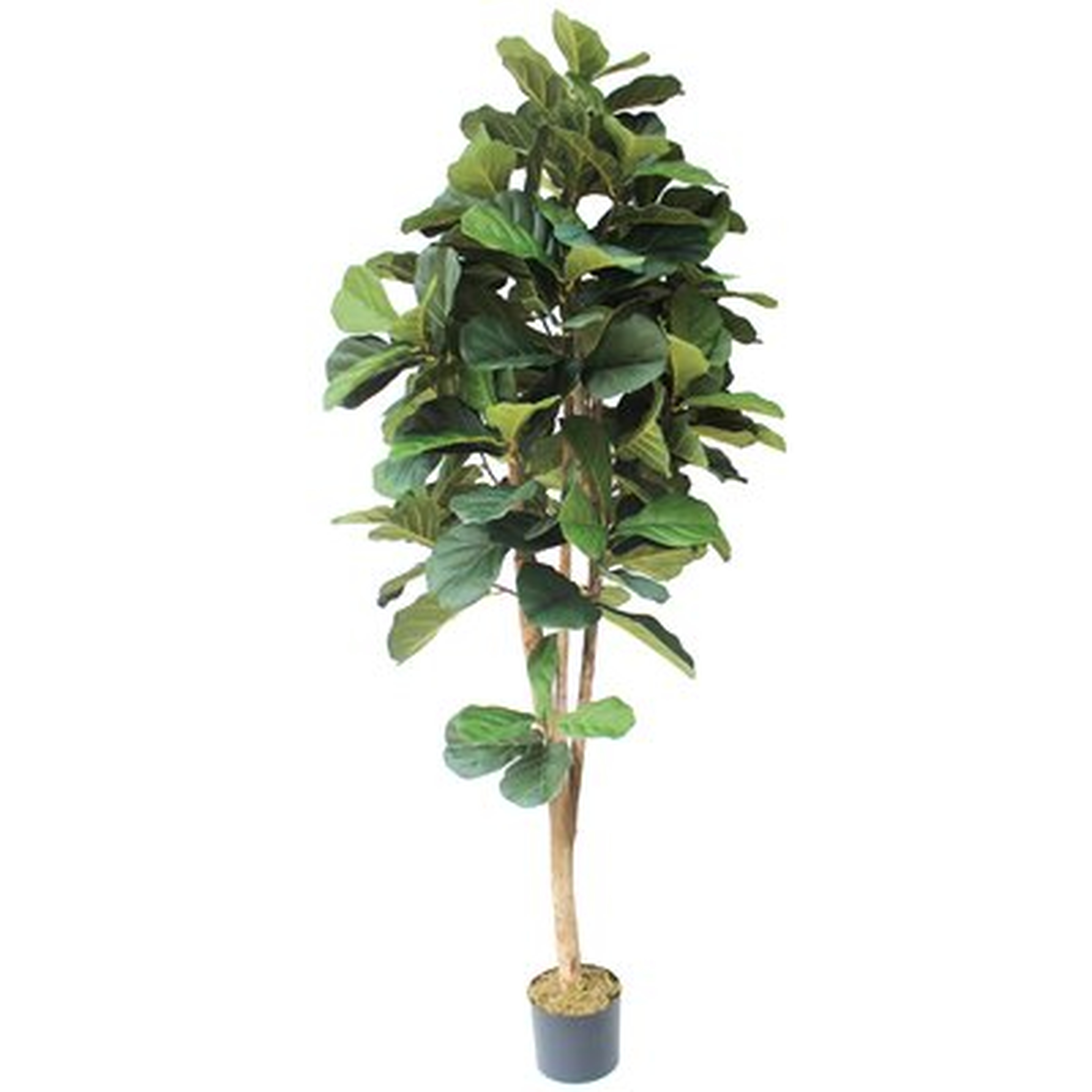 Silk Fiddle Leaf Fig Tree in Pot - Wayfair