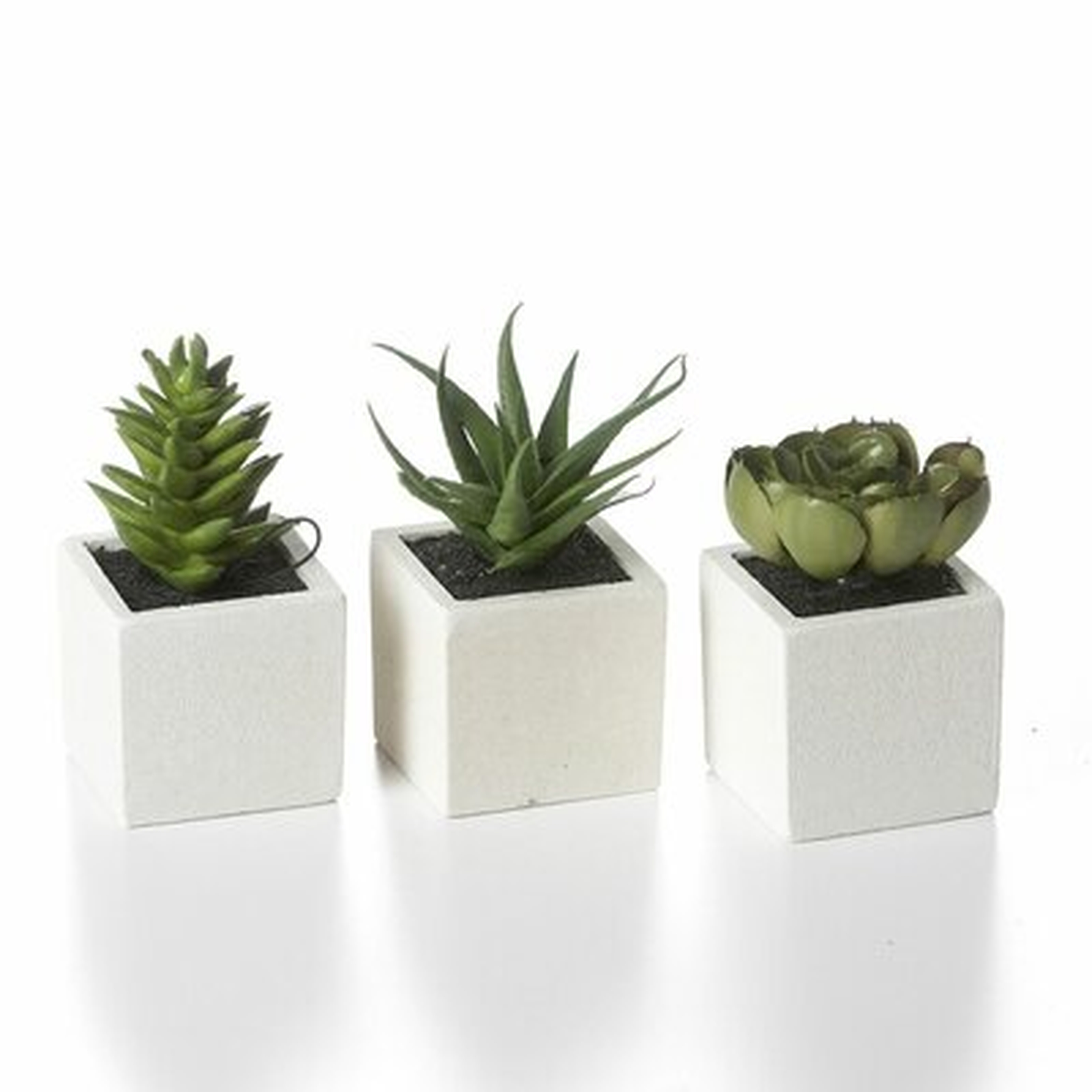 3 Artificial Aloe Succulent in Planter Set - Wayfair