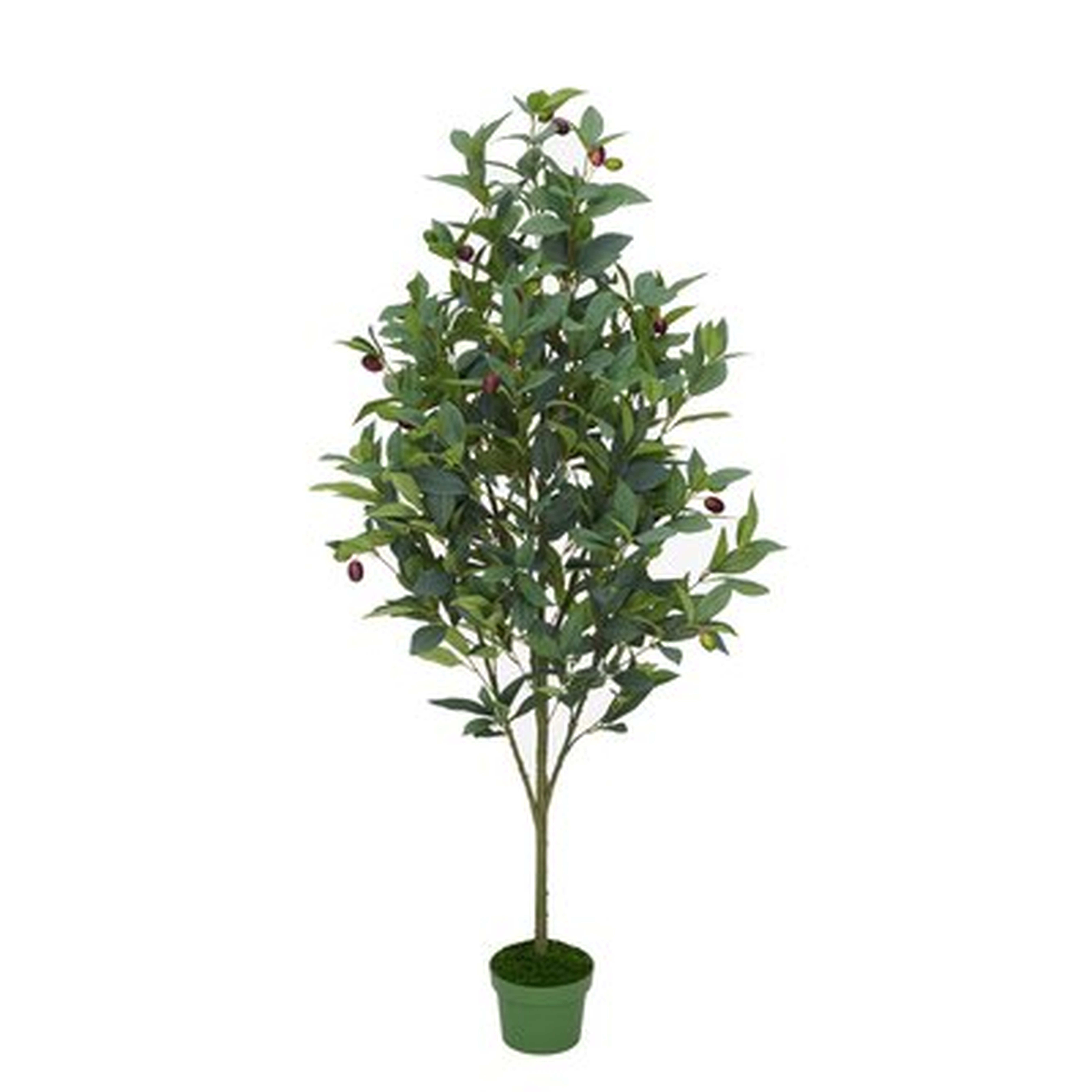 48'' Artificial Olive Tree in Pot Liner - Wayfair