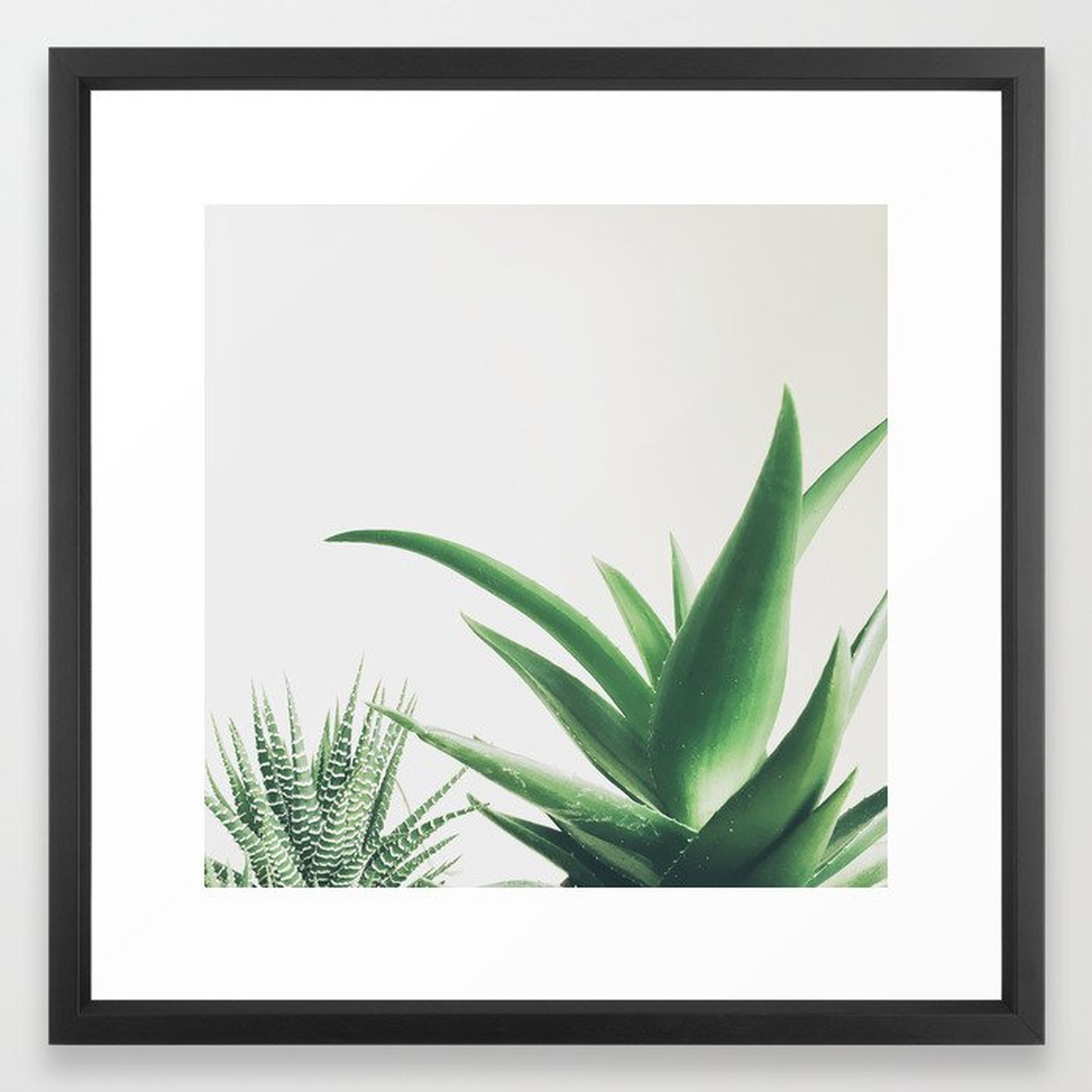 Succulents Framed Art Print by Cassia Beck - Vector Black - MEDIUM (Gallery)-22x22 - Society6
