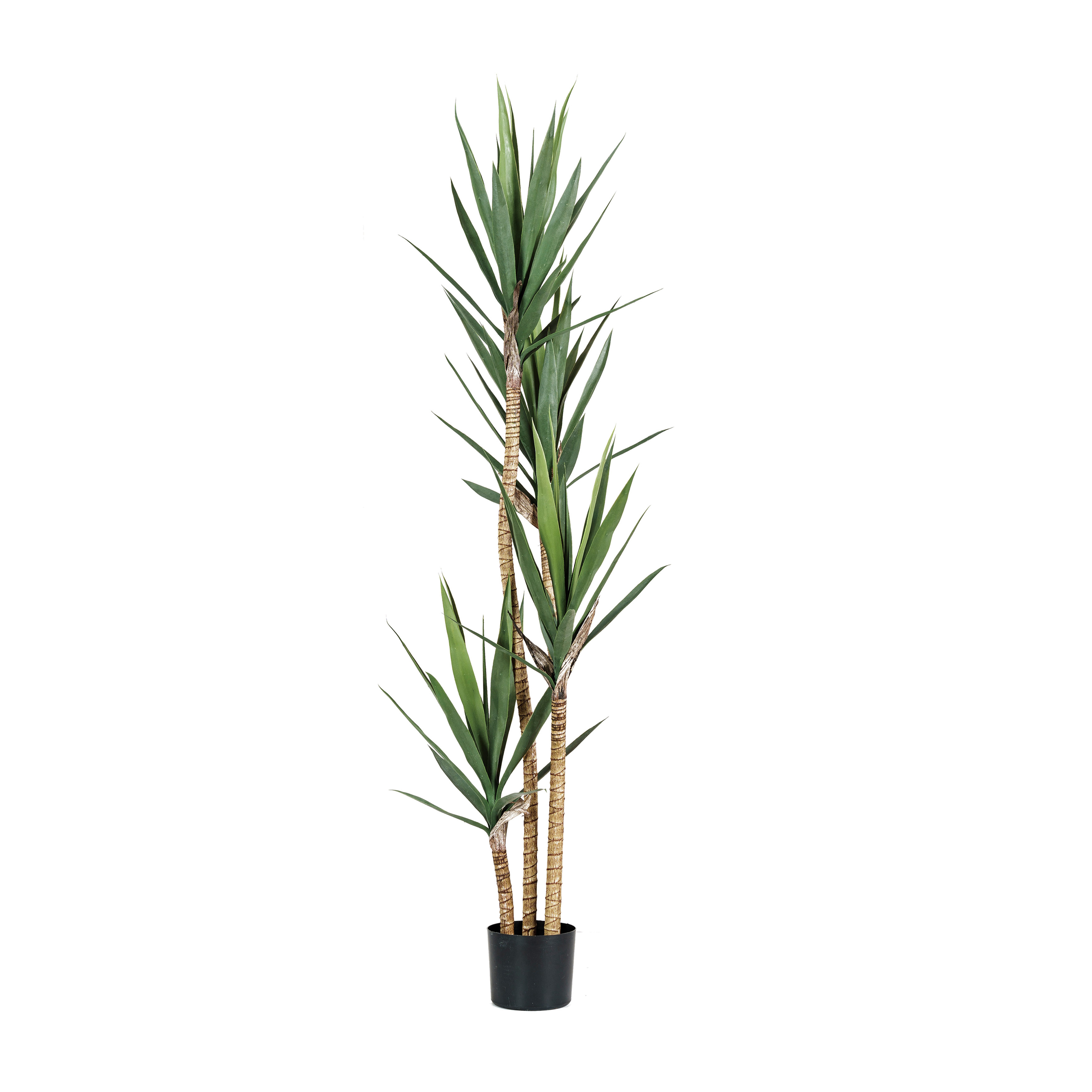 Faux Yucca Tree in Plastic Pot, Green - Creative Co-Op